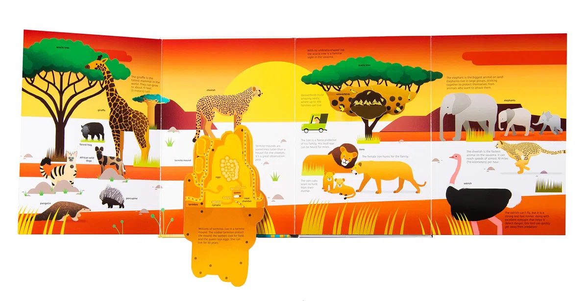 Ultimate Spotlight: Savanna Animals: 4
