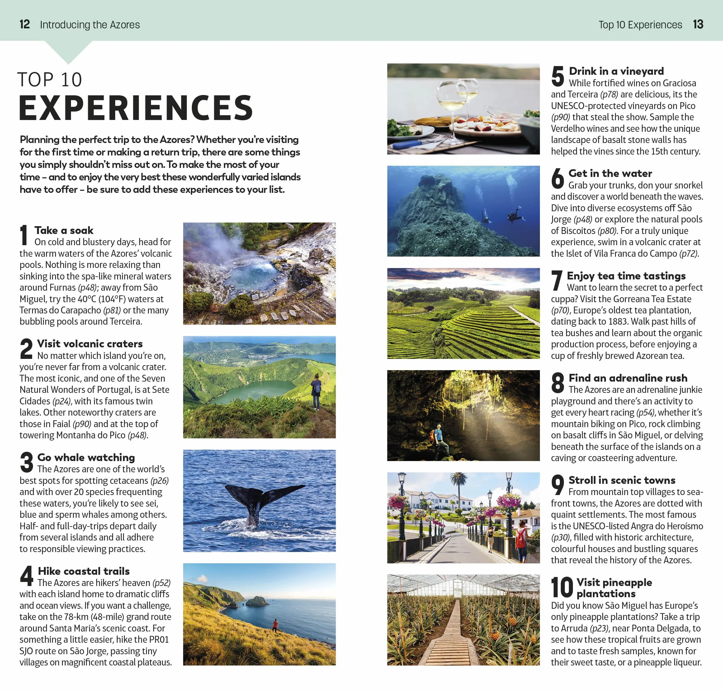 DK Eyewitness Top 10 The Azores: Top 10 lists for your perfect trip, plus an all-weather folded map