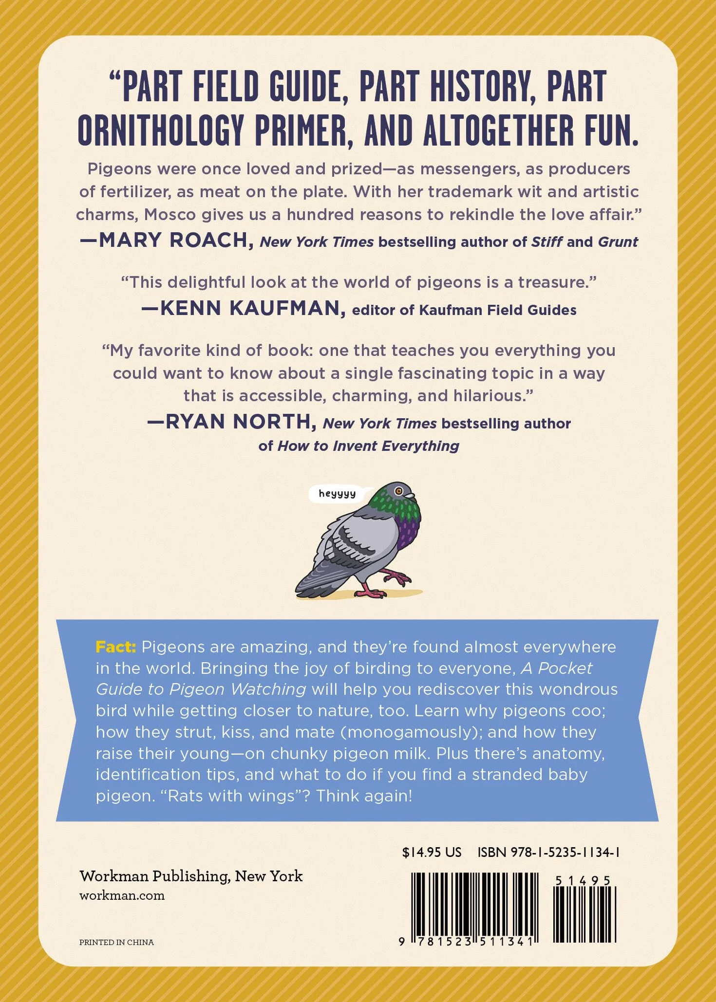 A Pocket Guide to Pigeon Watching: Getting to Know the World's Most Misunderstood Bird