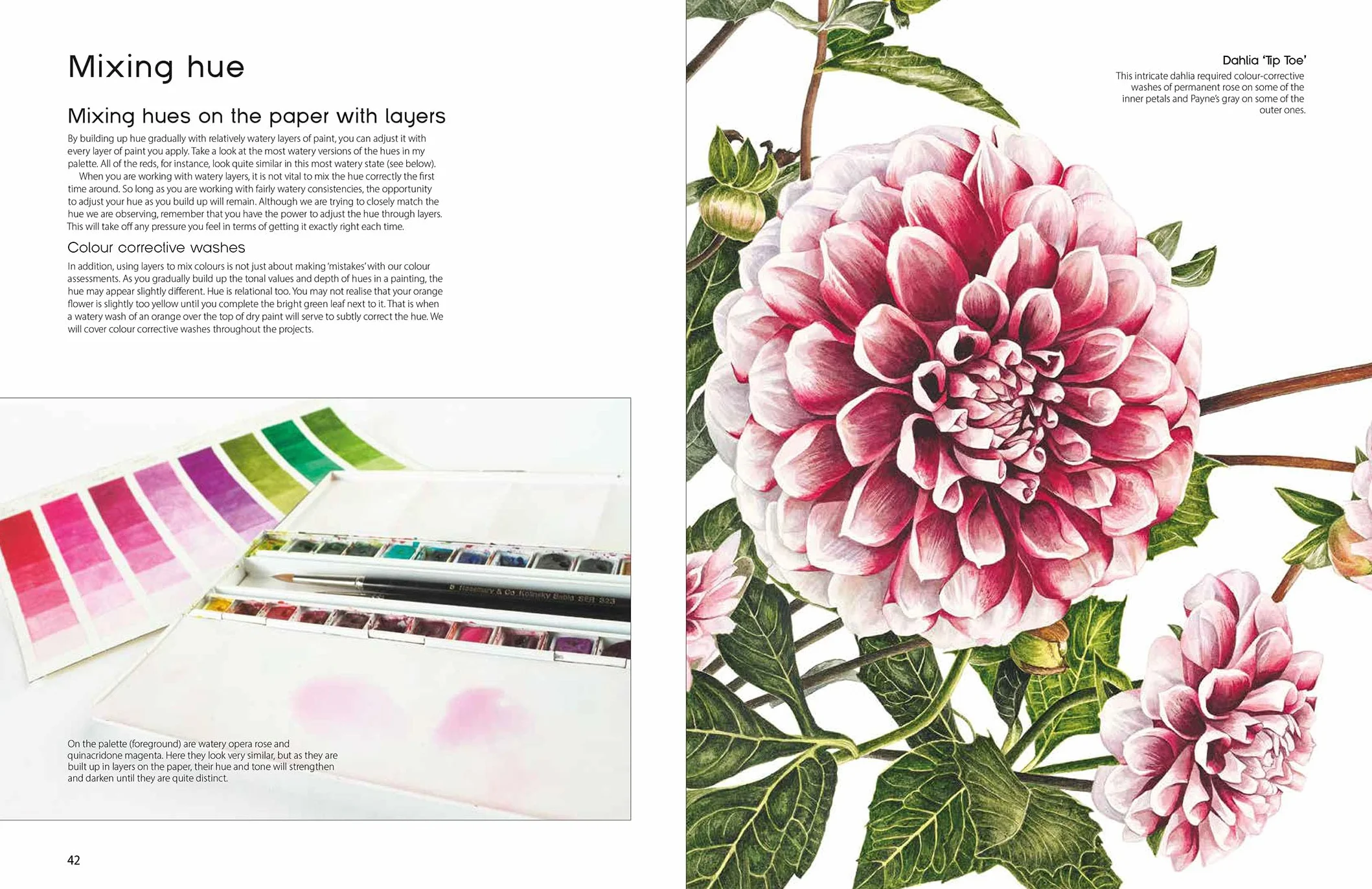 The Modern Flower Painter: Creating Vibrant Botanical Portraits in Watercolour