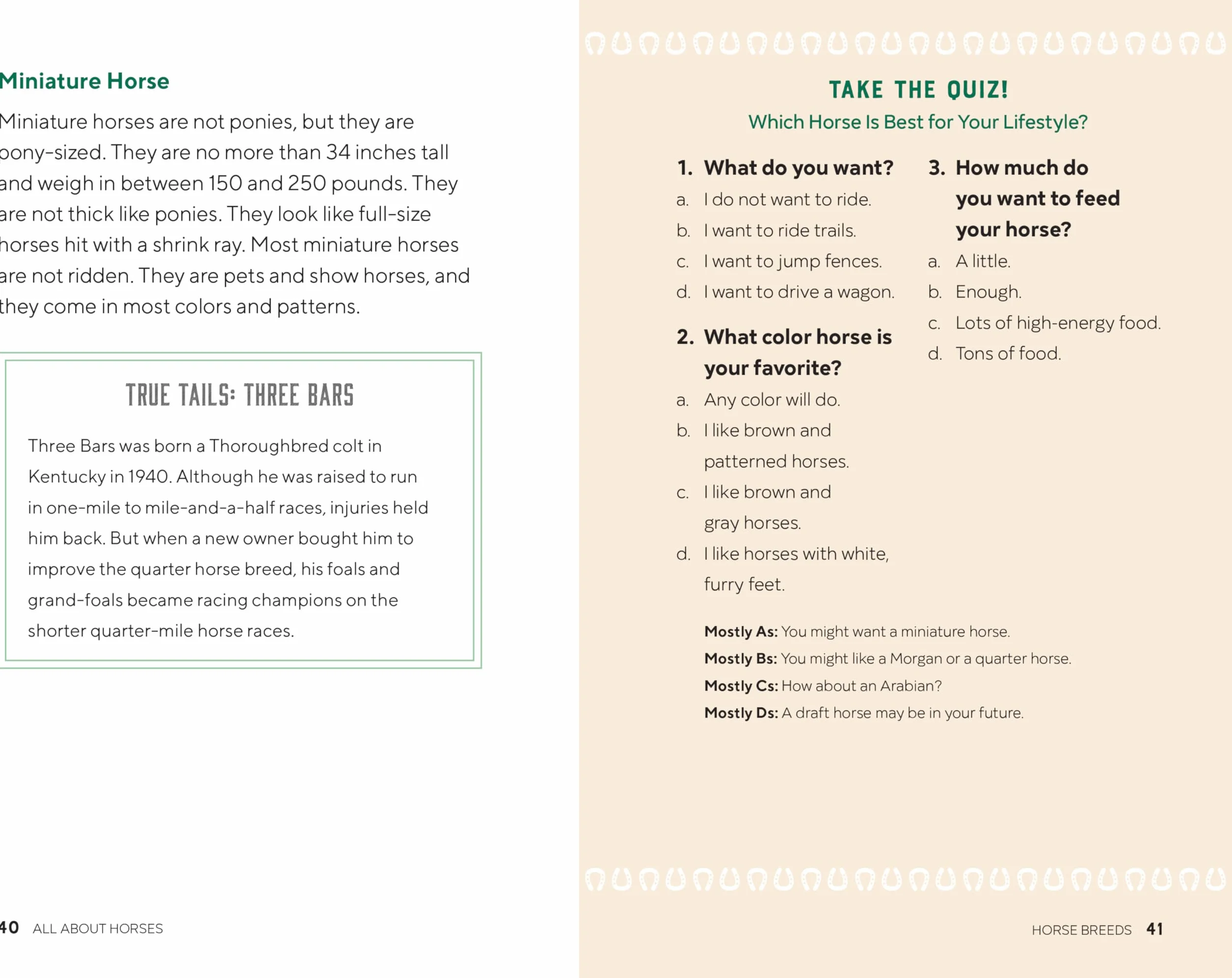 All about Horses: A Kid's Guide to Breeds, Care, Riding, and More!