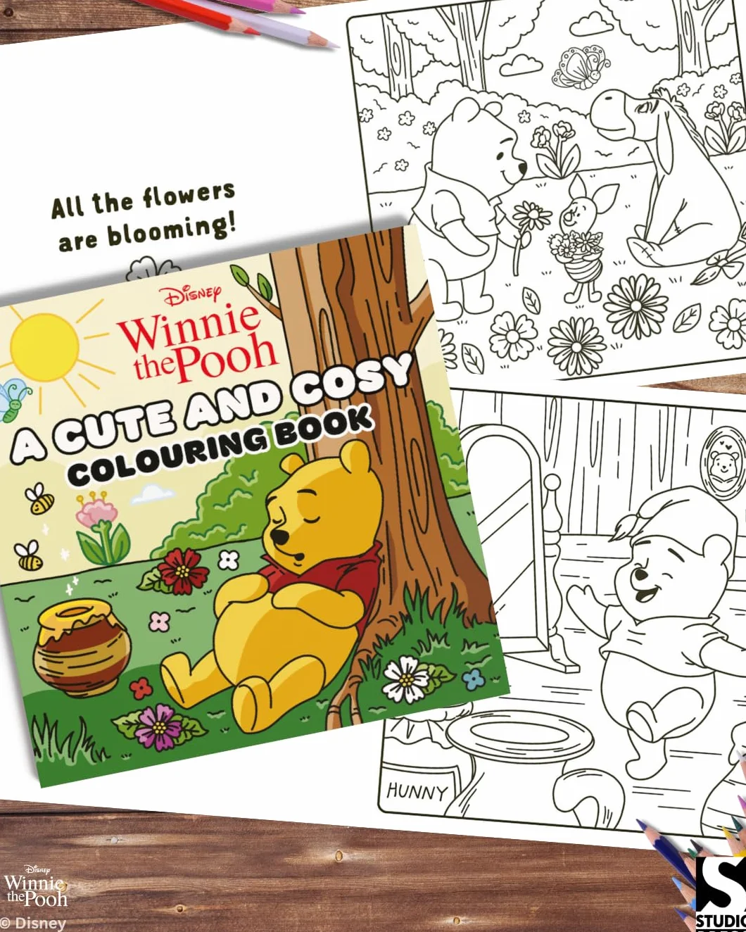 Disney Winnie the Pooh: A Cute and Cosy Colouring Book