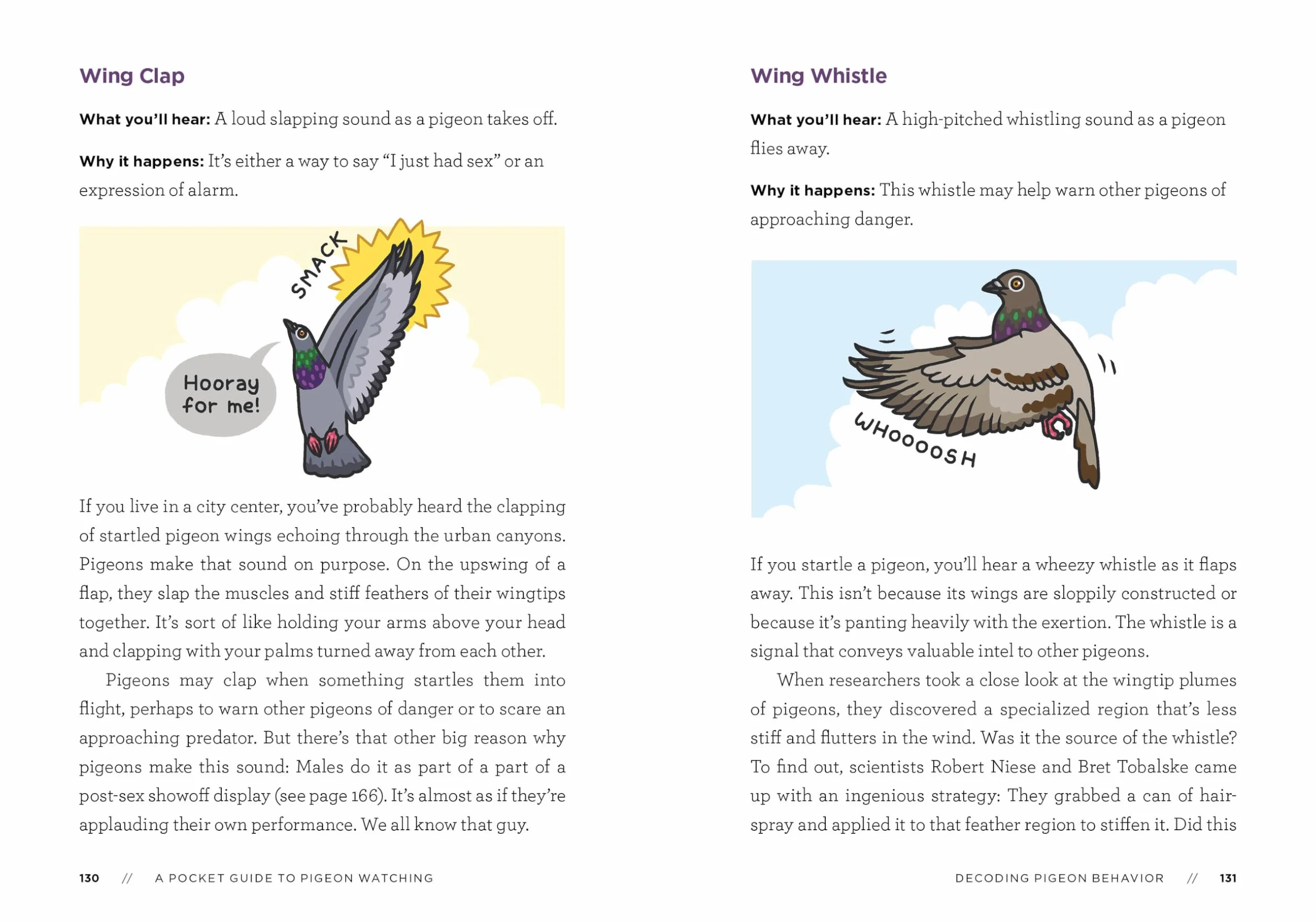 A Pocket Guide to Pigeon Watching: Getting to Know the World's Most Misunderstood Bird