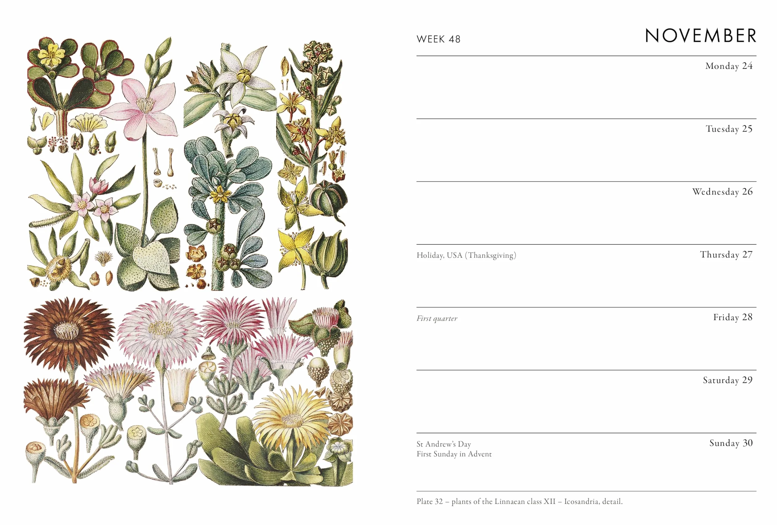 Rhs Pocket Diary 2025