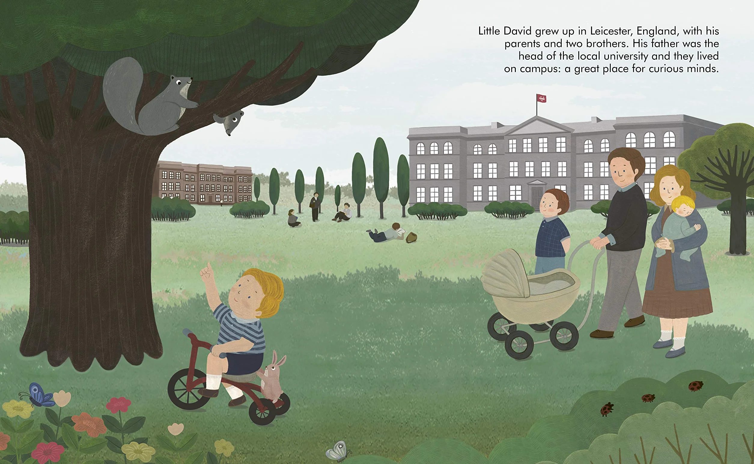 David Attenborough (34) (Little People, BIG DREAMS): Volume 34