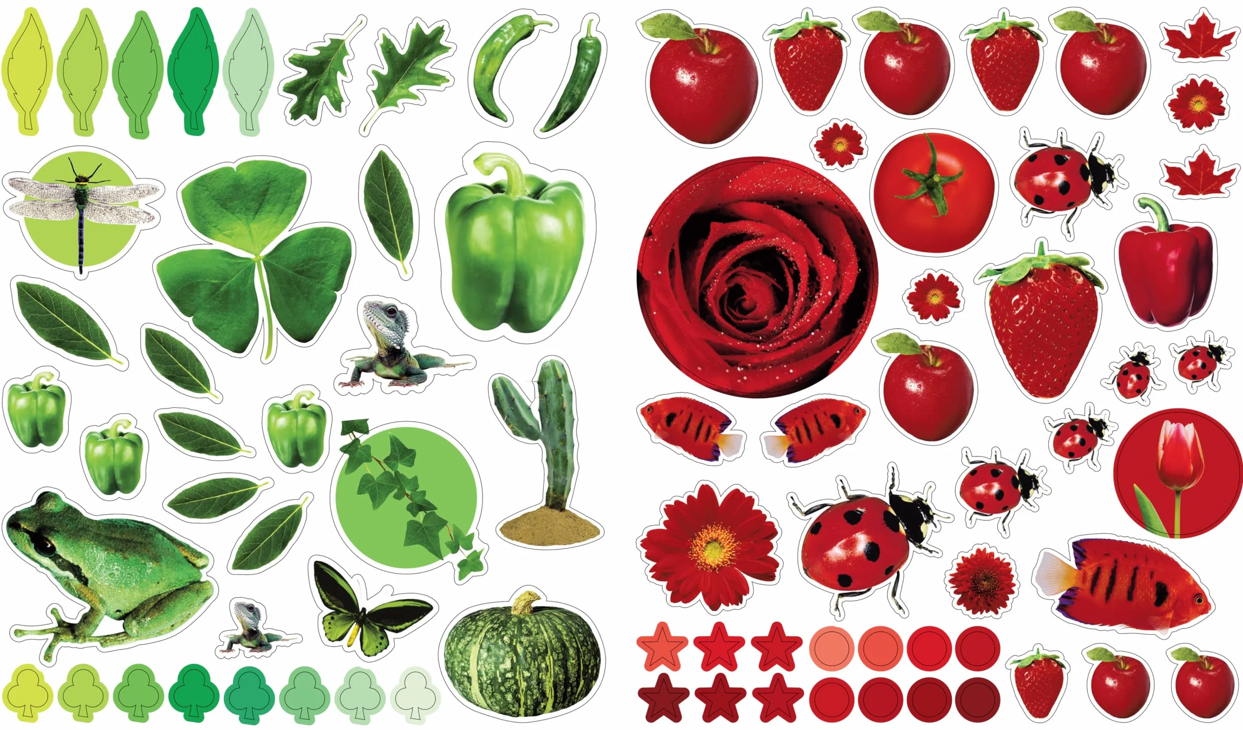 Eyelike Stickers: Colors: 400 Reusable Stickers Inspired by Nature