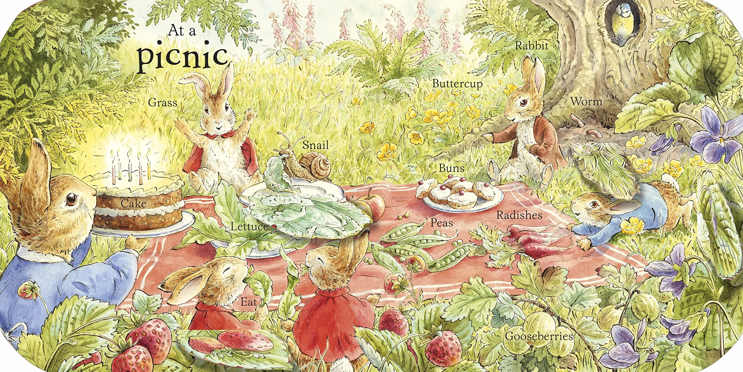 Peter Rabbit Peter's First 100 Words: An early-learning lift-the-flap book for toddlers