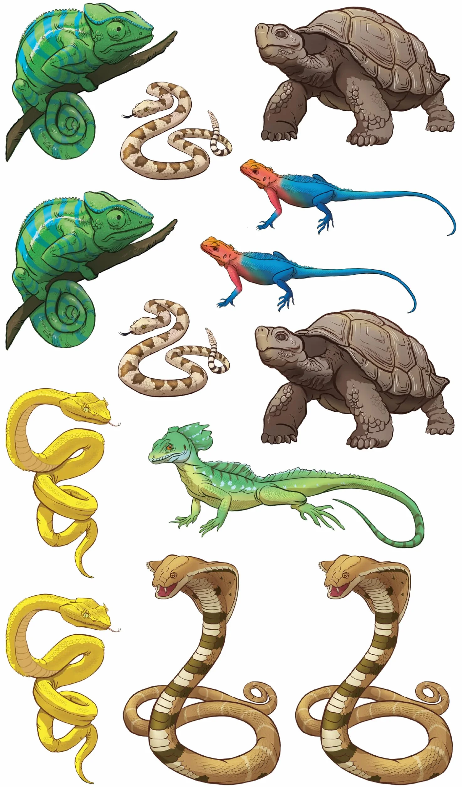 Slithering, Scaly Tattoo Snakes & Other Reptiles: 50 Temporary Tattoos That Teach