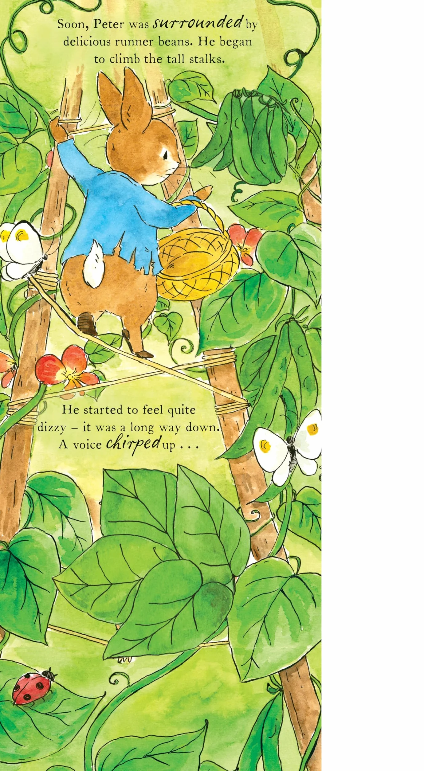 The World of Peter Rabbit: Peter Rabbit Gets Stuck!: A lift-the-flap board book