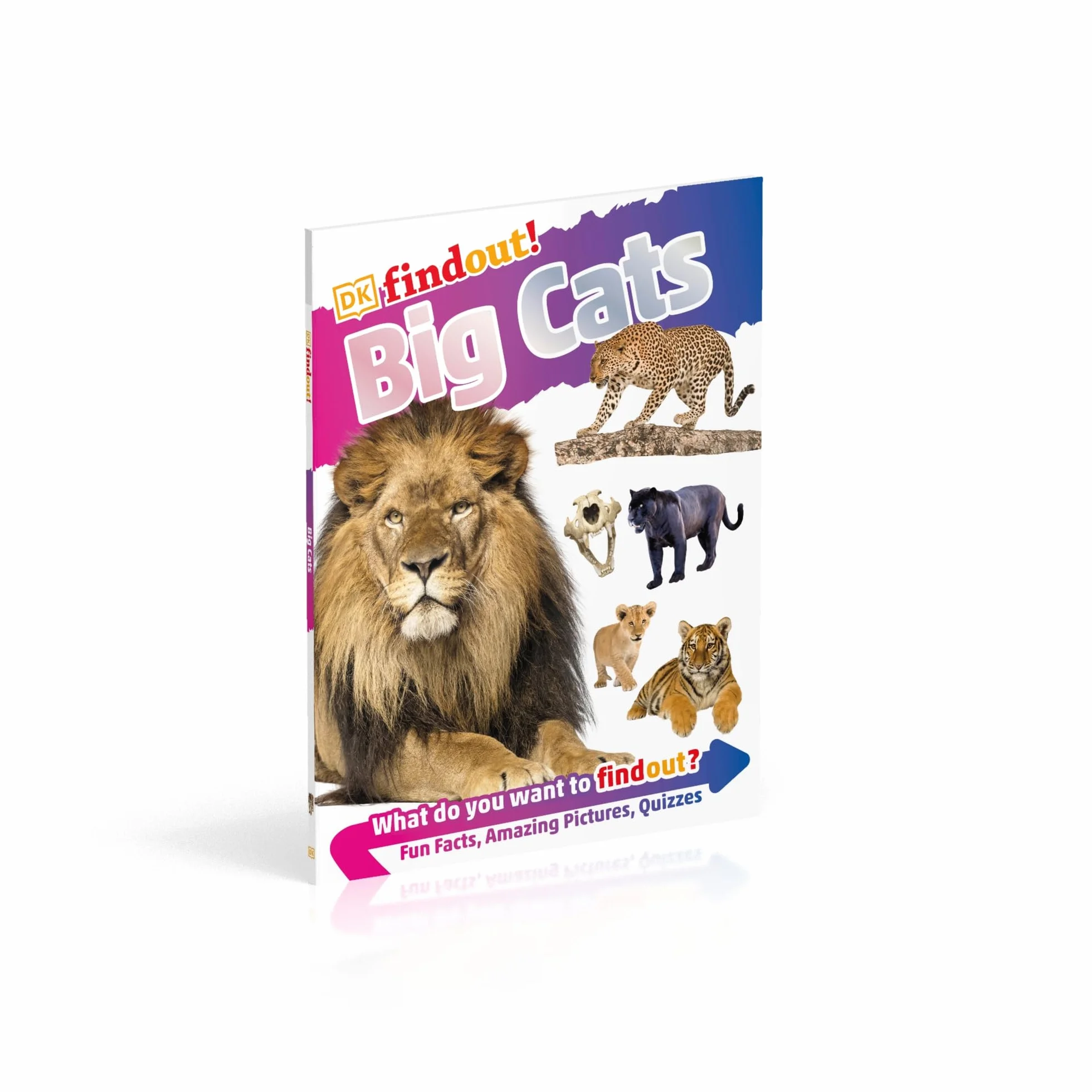 DKfindout! Big Cats
