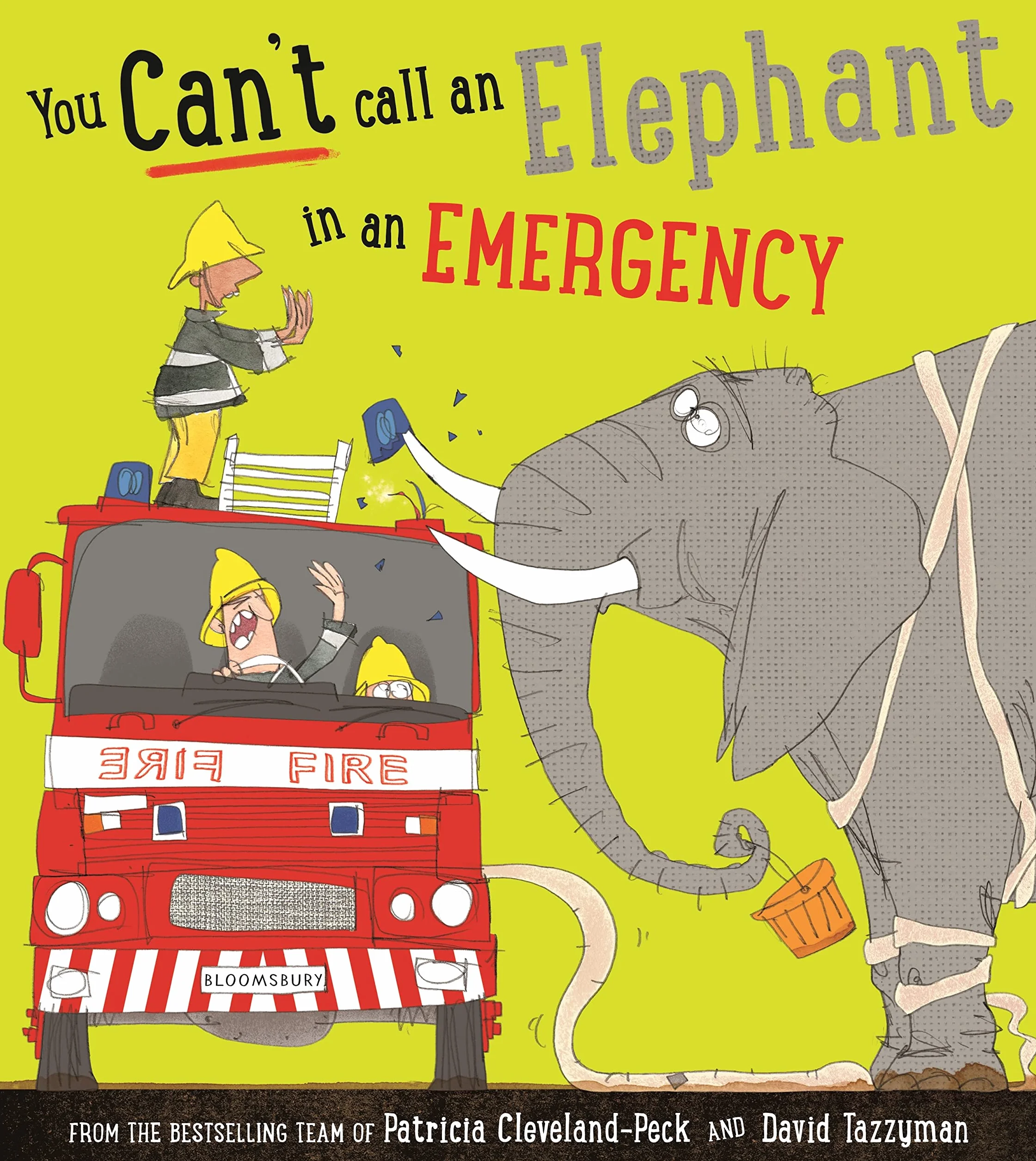 You Can't Call an Elephant in an Emergency