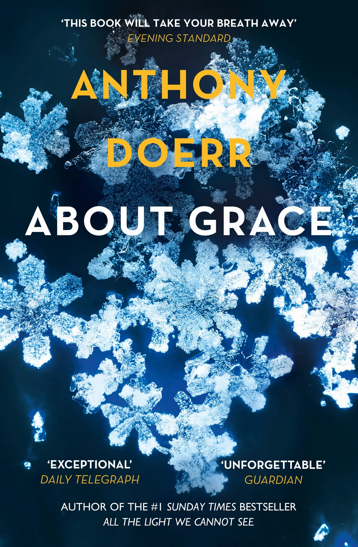 About Grace: The haunting psychological novel from the Sunday Times bestselling author of All The Light We Cannot See