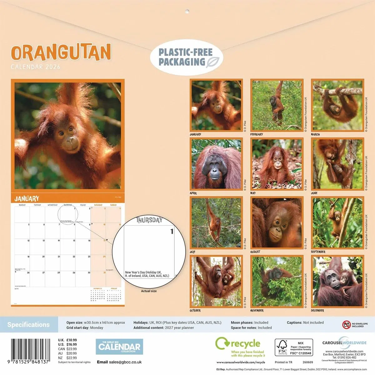 Orangutan – Orang-Utan 2026 – Wand-Kalender: Original Carousel-Kalender [Mehrsprachig] [Kalender]