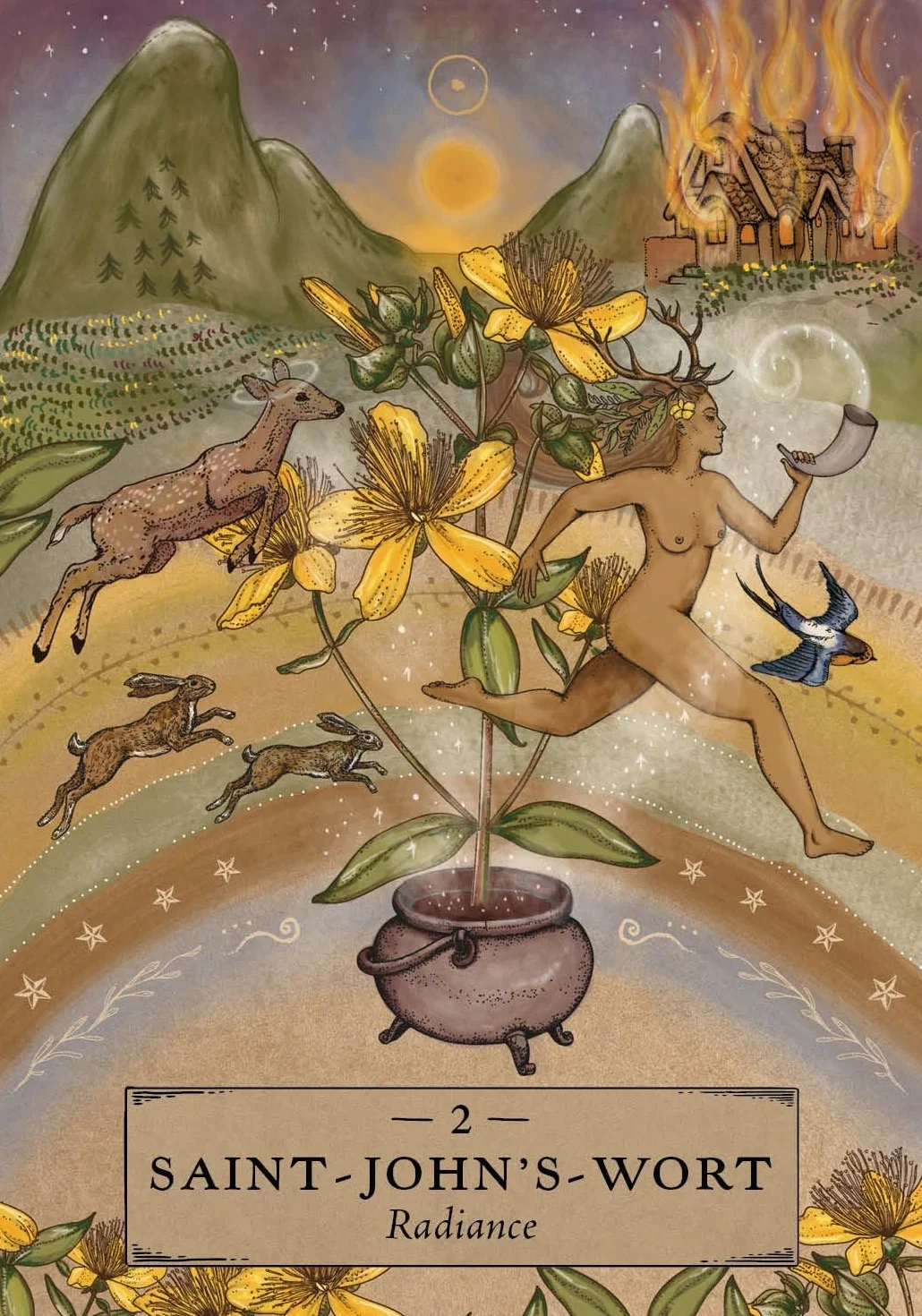 The Herbal Astrology Pocket Oracle: A 55-Card Deck and Guidebook
