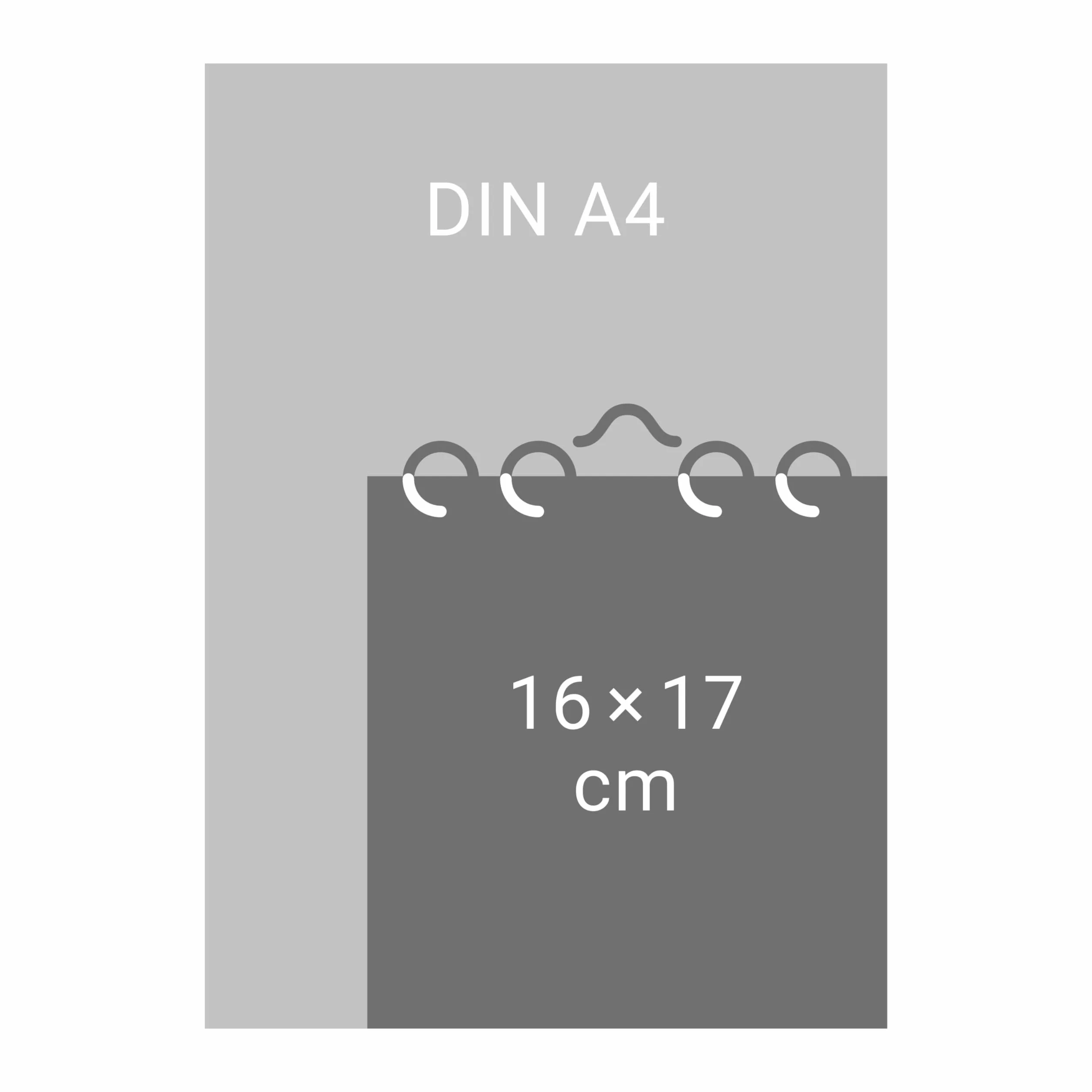 Eichhörnchen Postkartenkalender 2026: Dekorativer Monats-Tischkalender zum Aufstellen oder Aufhängen. Fotokalender voll niedlicher Eichhörnchenbilder, als Postkarten zum Sammeln und Verschicken.