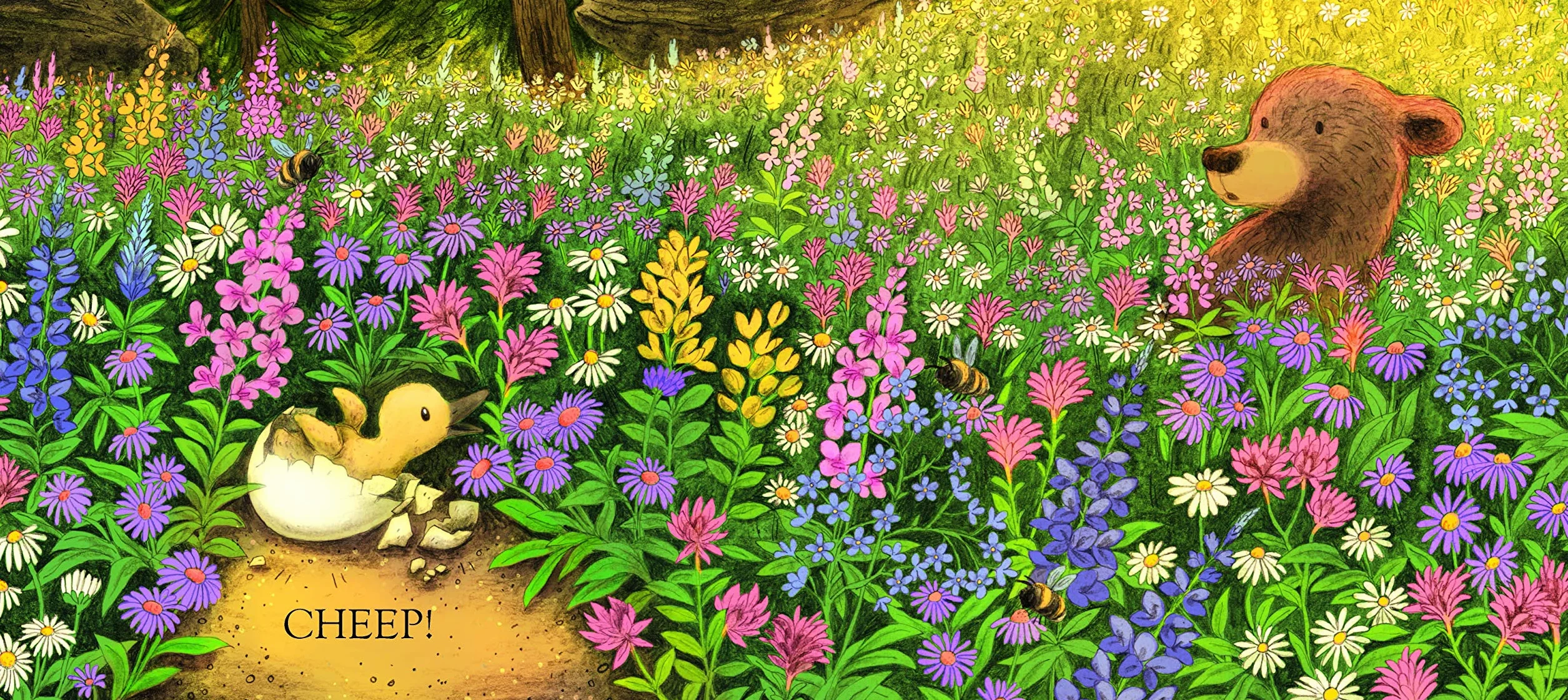 Little Bear's Spring