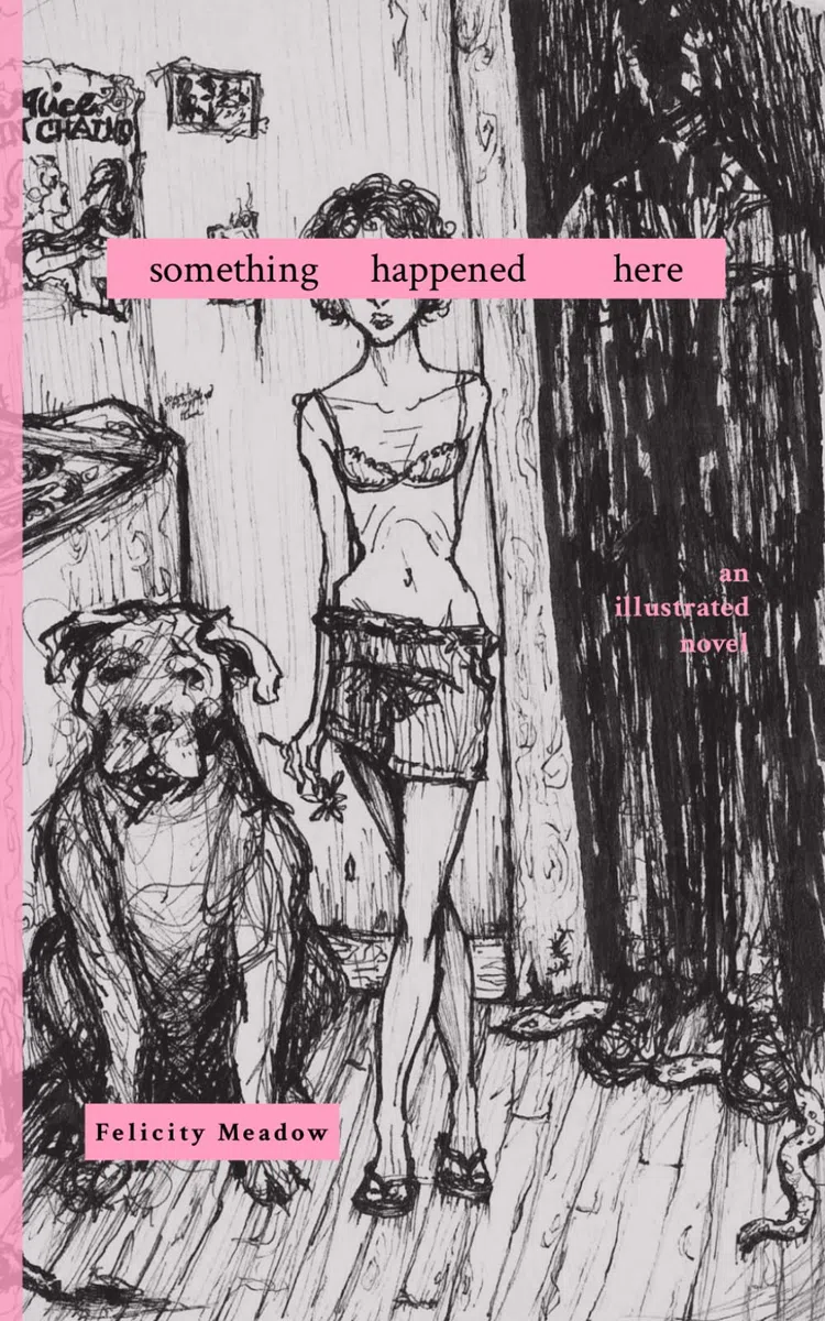 Something Happened Here: an illustrated novel