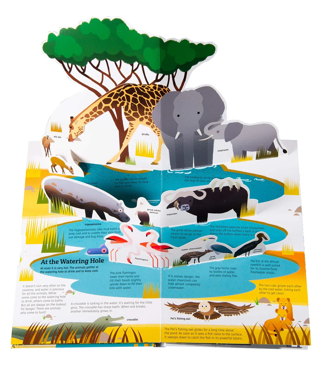 Ultimate Spotlight: Savanna Animals: 4