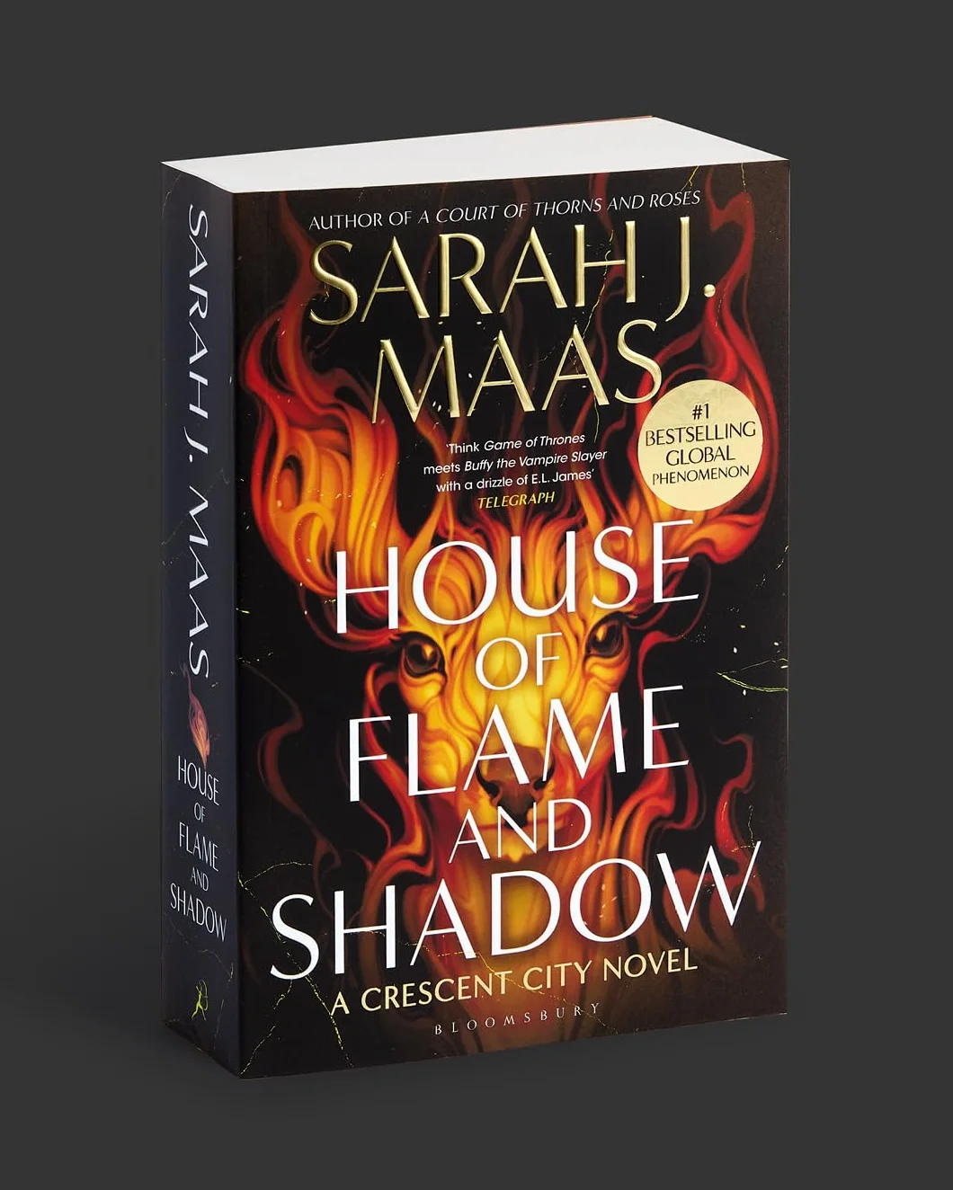 House of Flame and Shadow: The INTERNATIONAL BESTSELLER and the smouldering third book in the Crescent City series, from the creator of ACOTAR: 3