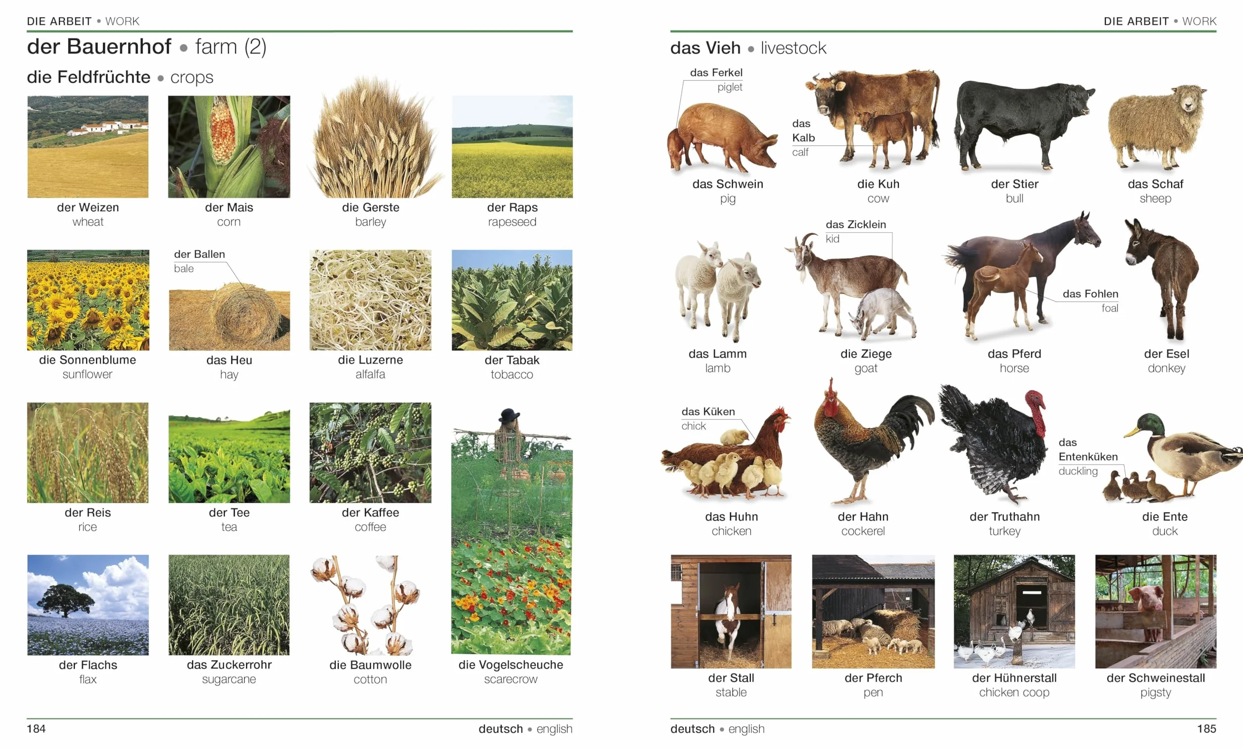 German English Bilingual Visual Dictionary