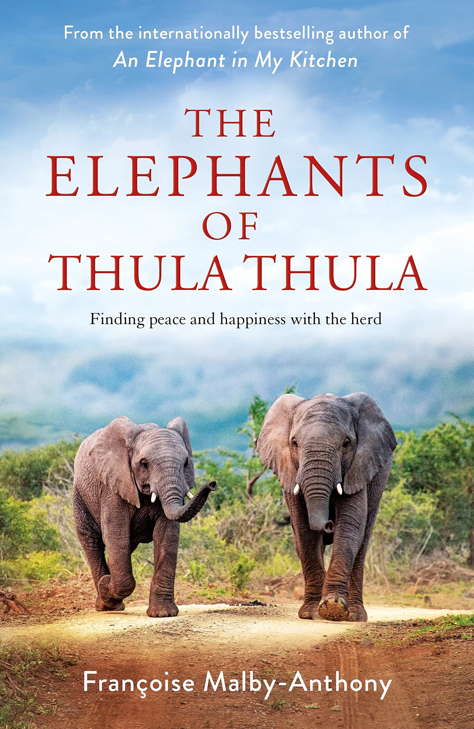 The Elephants of Thula Thula: Finding peace and happiness with the herd