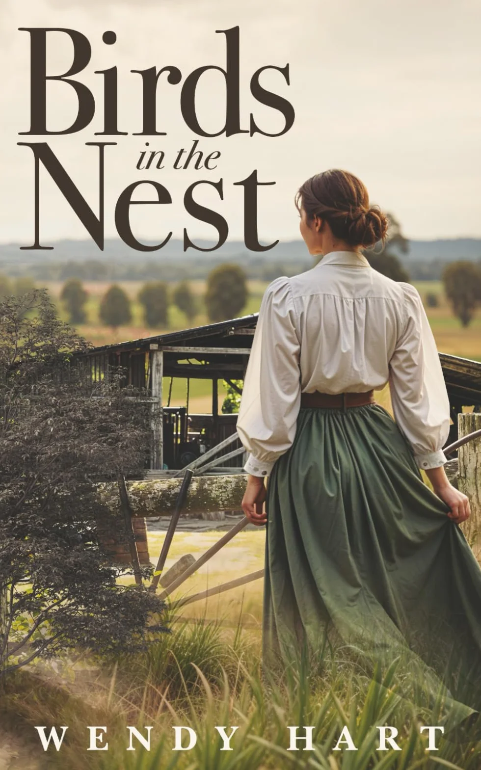 Birds in the Nest: A family saga, based on a true story which follows an immigrant girl from a childhood in Northern Ireland to Australia and a life shaped by World War 1 and the Great Depression