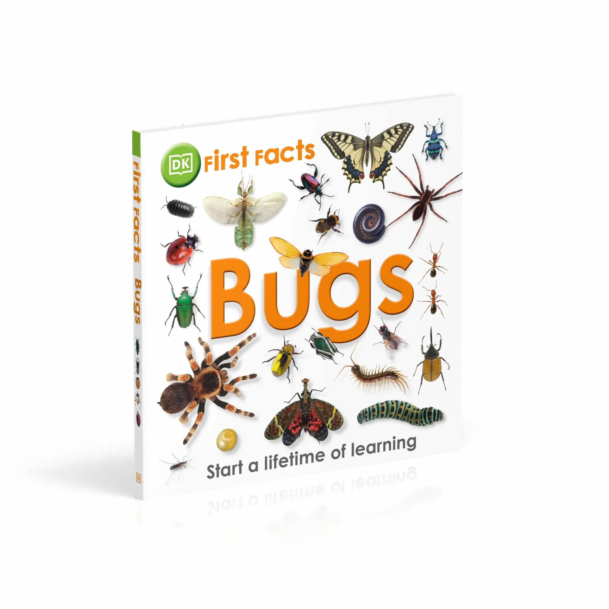 First Facts Bugs
