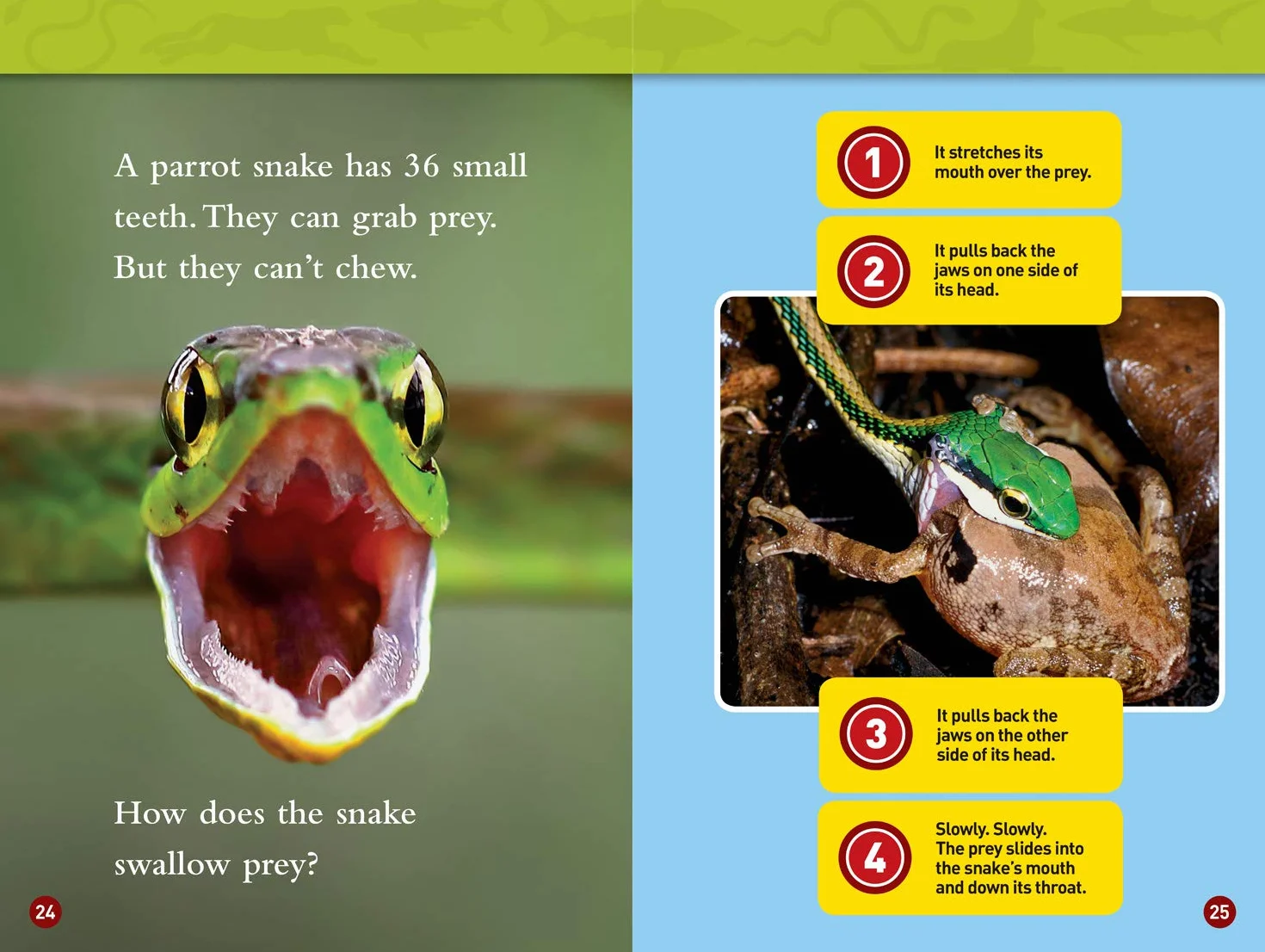 National Geographic Kids Readers: Predator face-Off