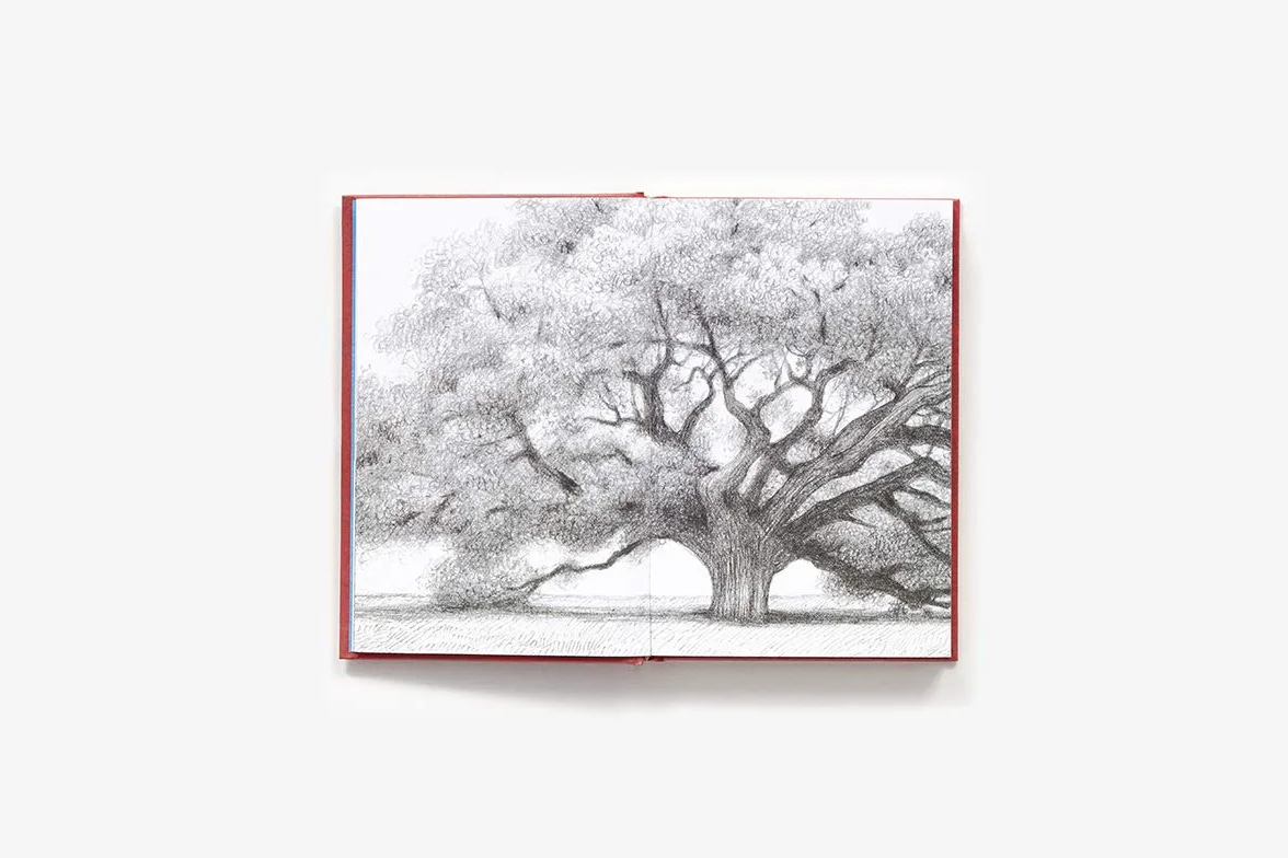 Live Oak, with Moss: Walt Whitman