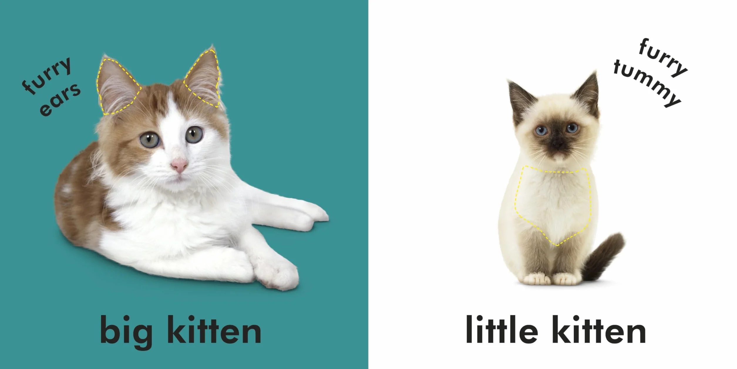Baby Touch and Feel Kittens: An Interactive Baby Cat Board Book
