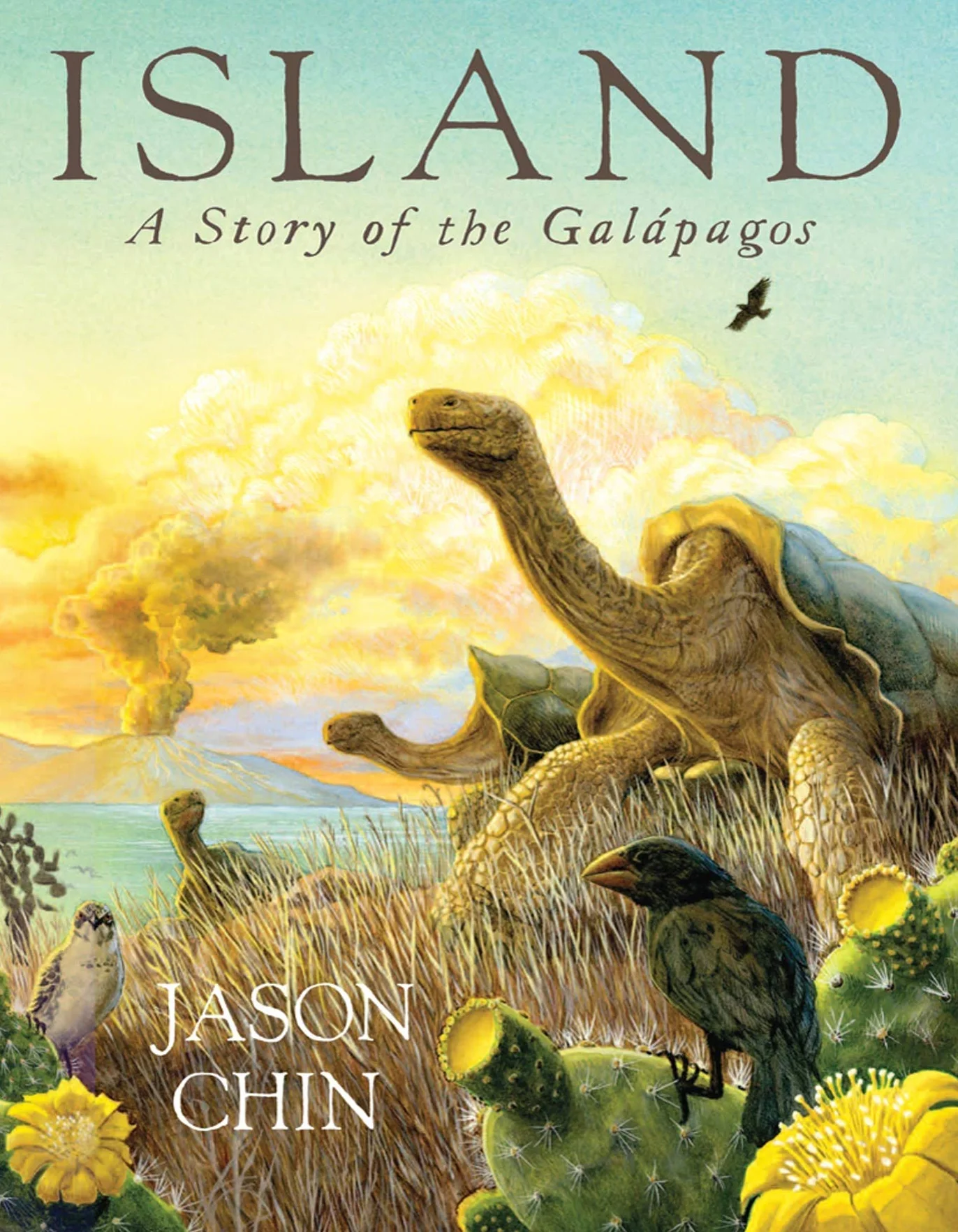 Island: A Story of the Galápagos