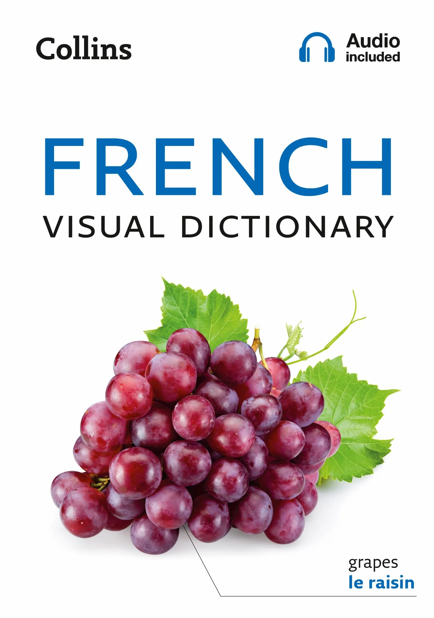 French Visual Dictionary: A photo guide to everyday words and phrases in French