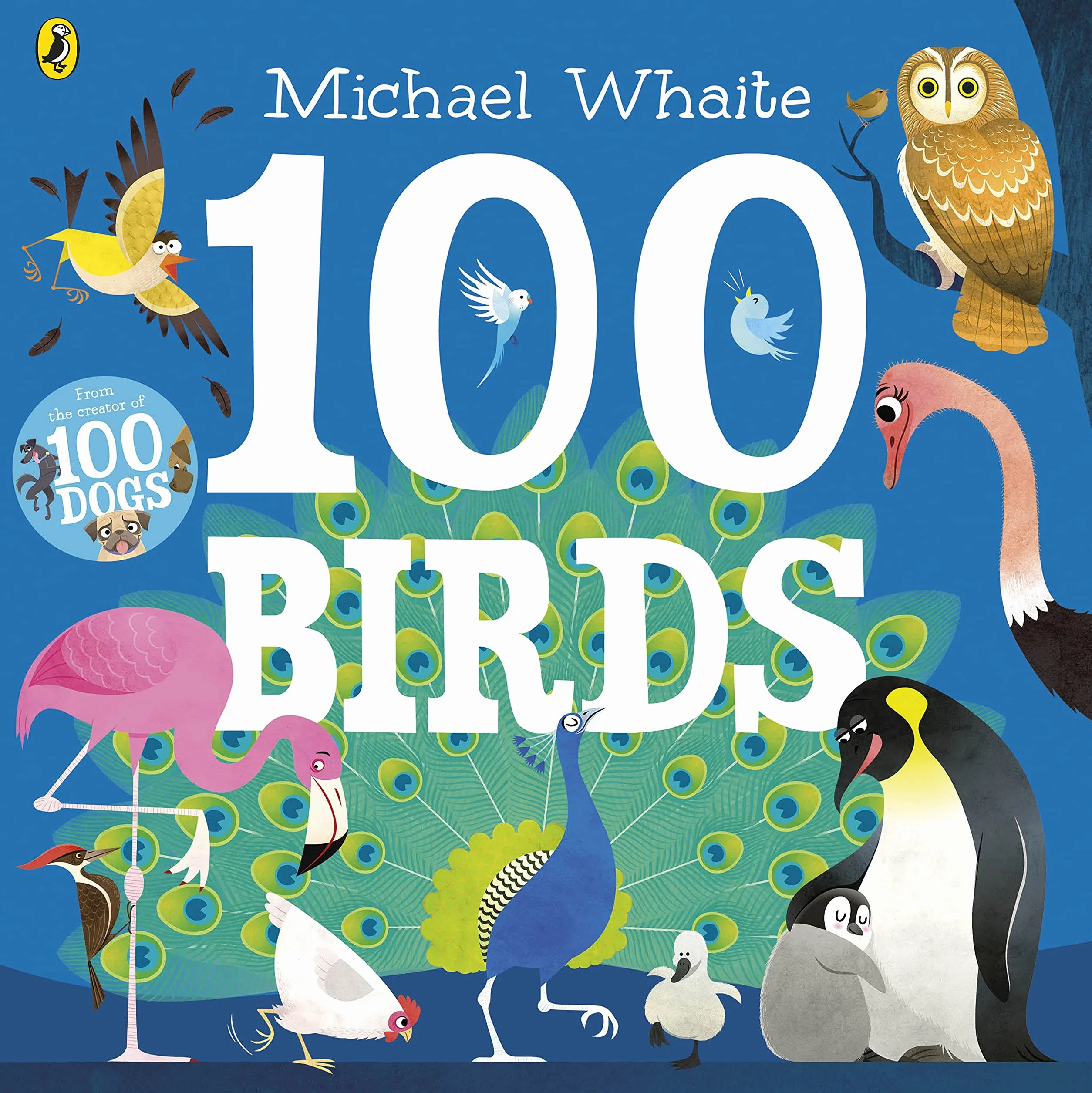 100 Birds
