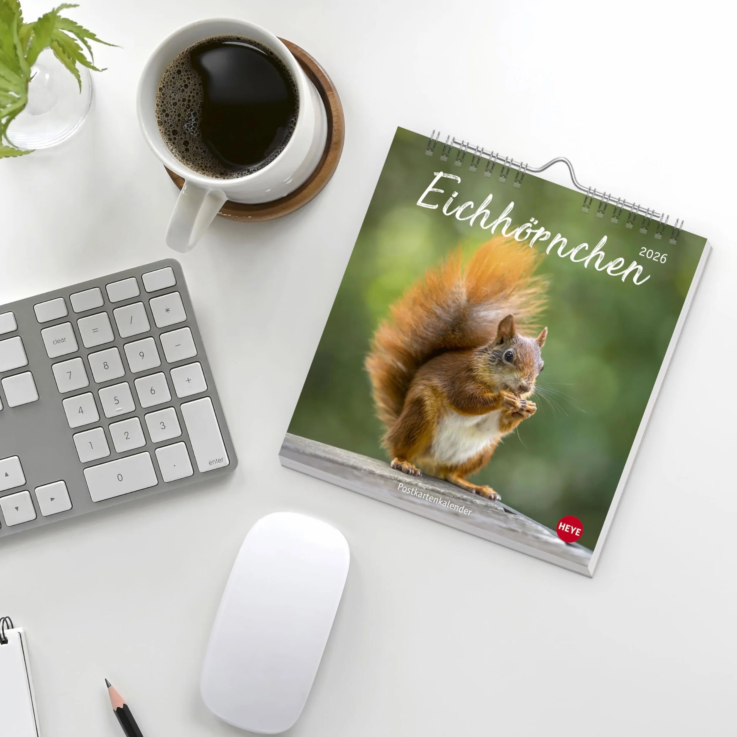 Eichhörnchen Postkartenkalender 2026: Dekorativer Monats-Tischkalender zum Aufstellen oder Aufhängen. Fotokalender voll niedlicher Eichhörnchenbilder, als Postkarten zum Sammeln und Verschicken.