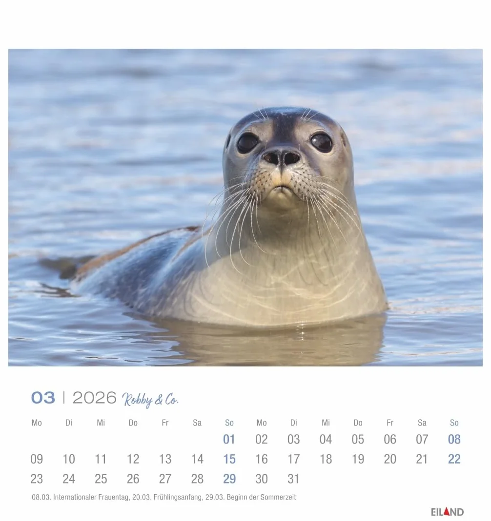 Robby & Co. Postkartenkalender 2026: Robben und Seehunde in natürlicher Umgebung in einem kleinen Kalender. Postkarten-Fotokalender für Tierfreunde zum Aufstellen oder Aufhängen