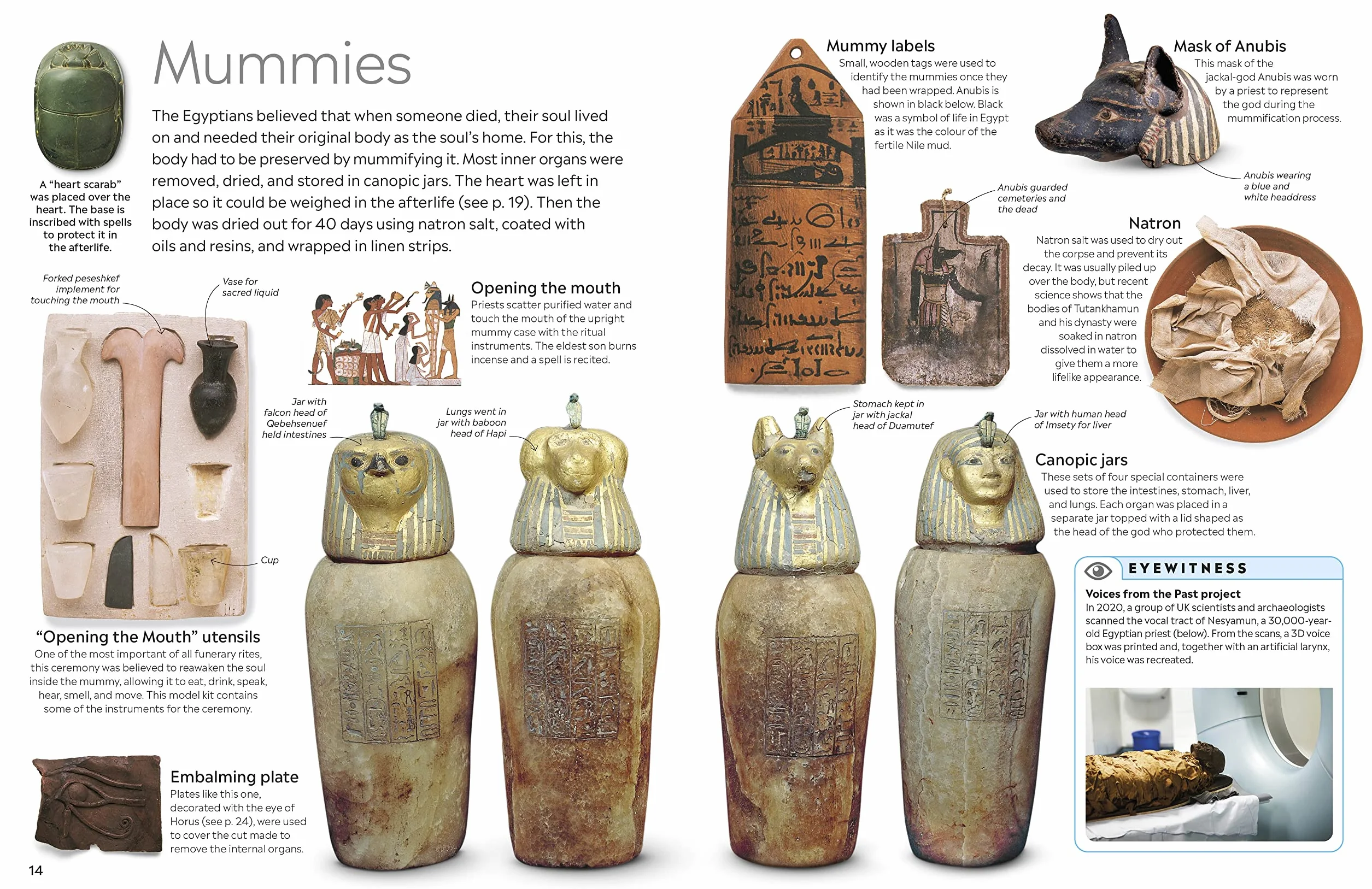 Ancient Egypt (DK Eyewitness)