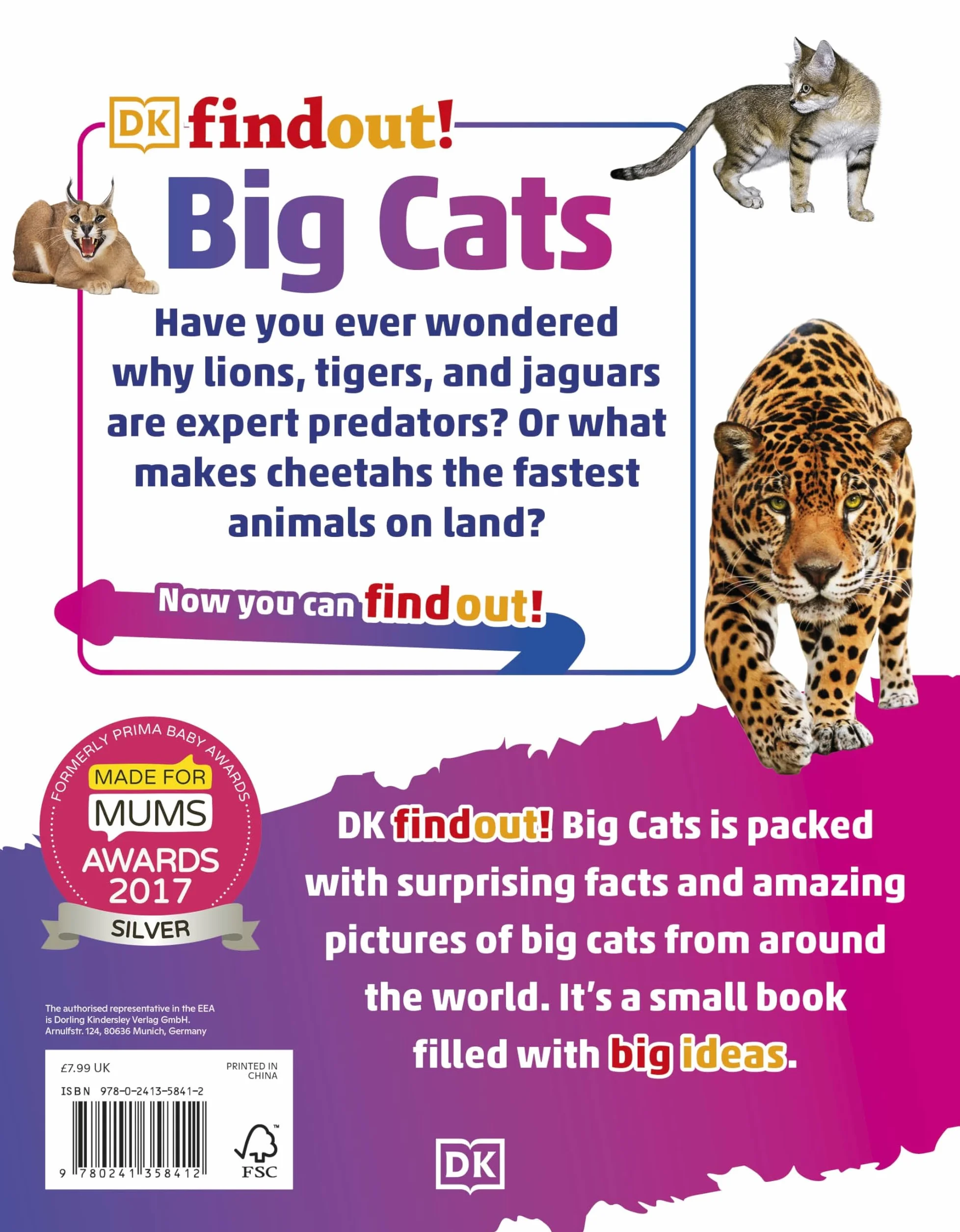DKfindout! Big Cats