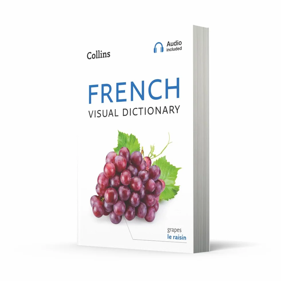French Visual Dictionary: A photo guide to everyday words and phrases in French