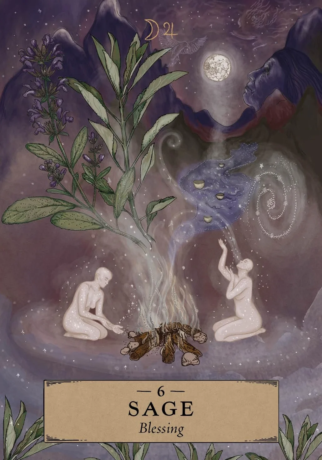 The Herbal Astrology Pocket Oracle: A 55-Card Deck and Guidebook