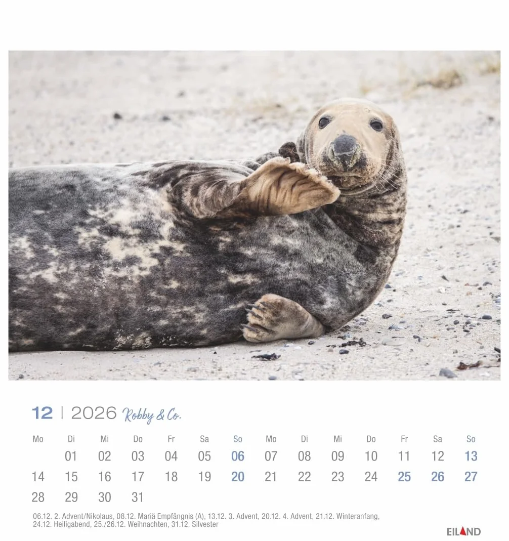 Robby & Co. Postkartenkalender 2026: Robben und Seehunde in natürlicher Umgebung in einem kleinen Kalender. Postkarten-Fotokalender für Tierfreunde zum Aufstellen oder Aufhängen