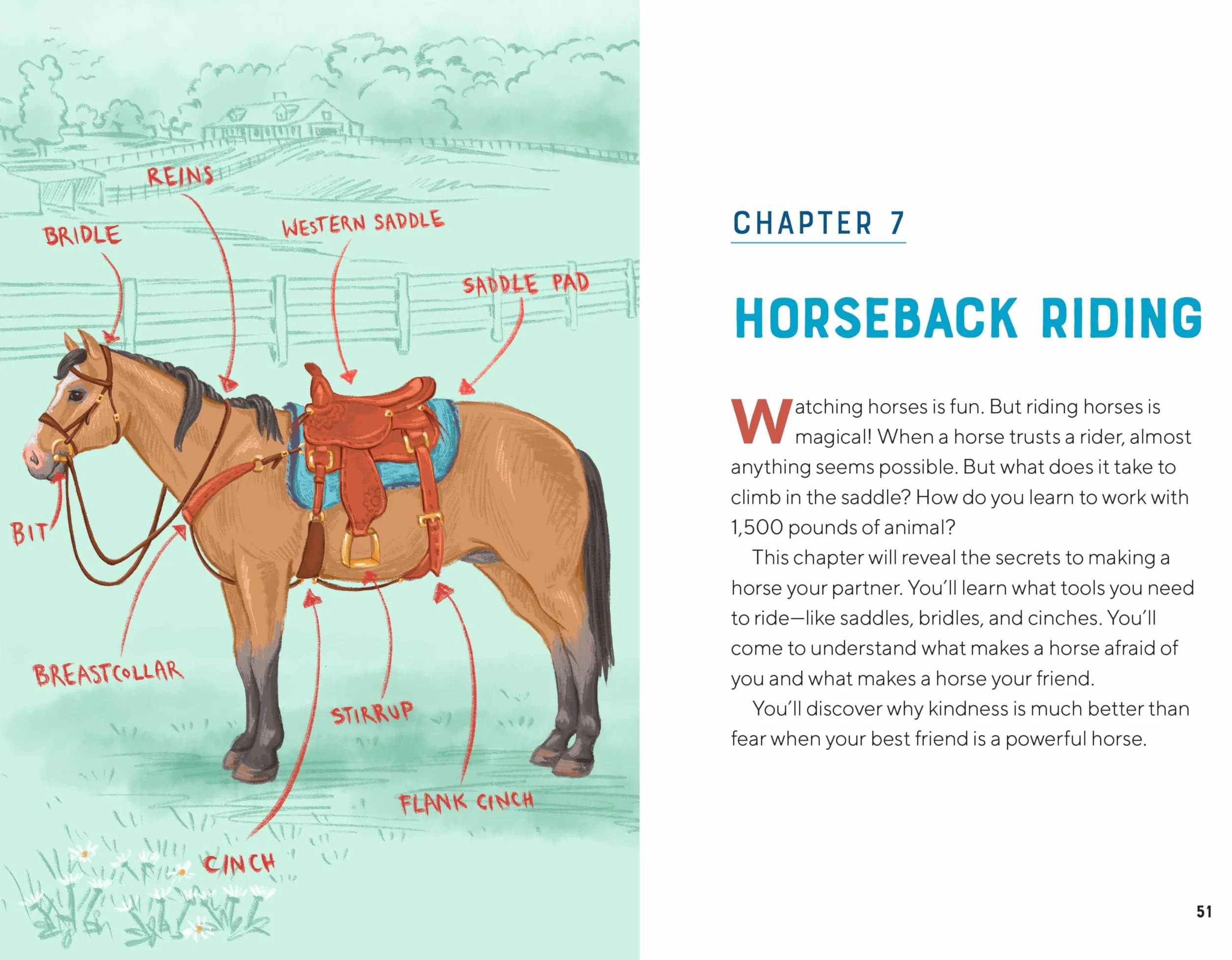 All about Horses: A Kid's Guide to Breeds, Care, Riding, and More!