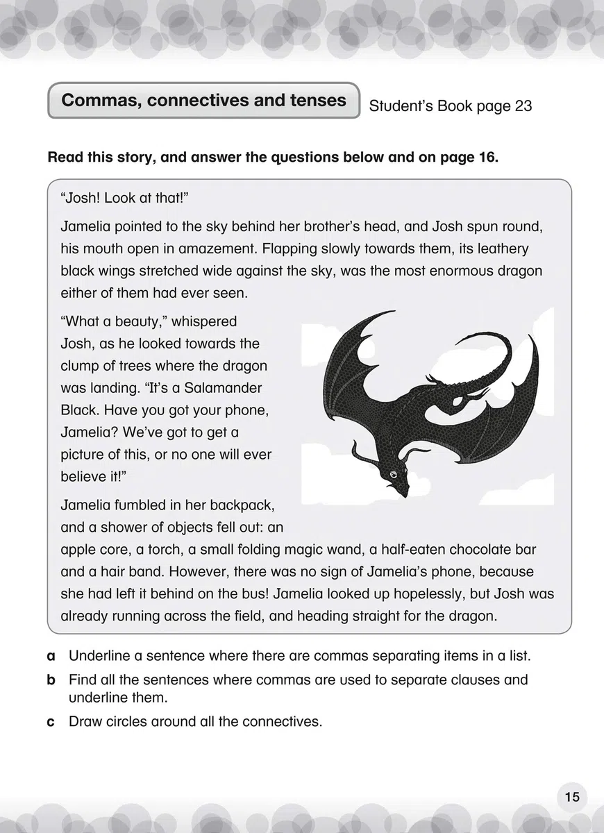 International Primary English Workbook: Stage 4