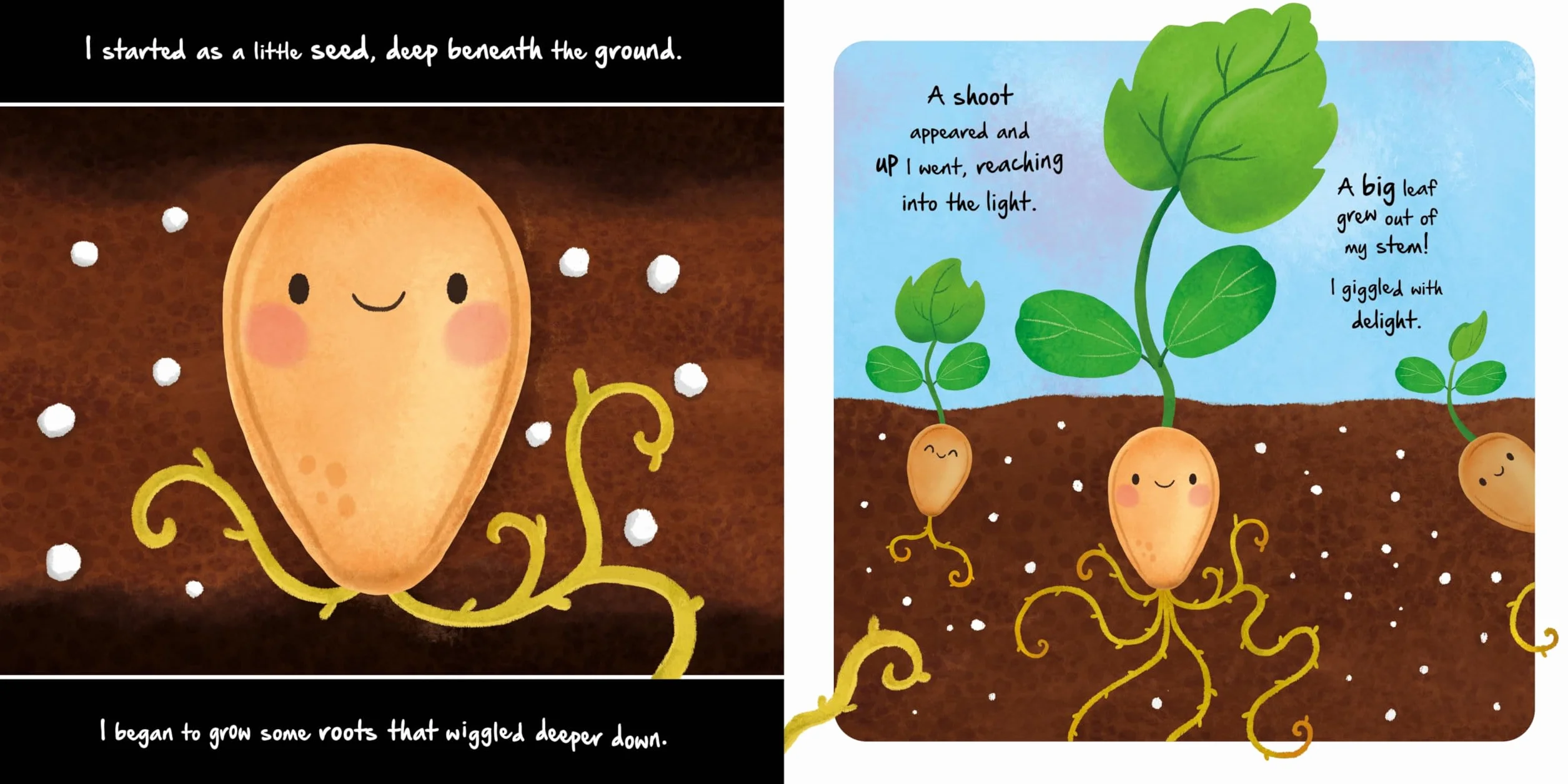 Little Pumpkin