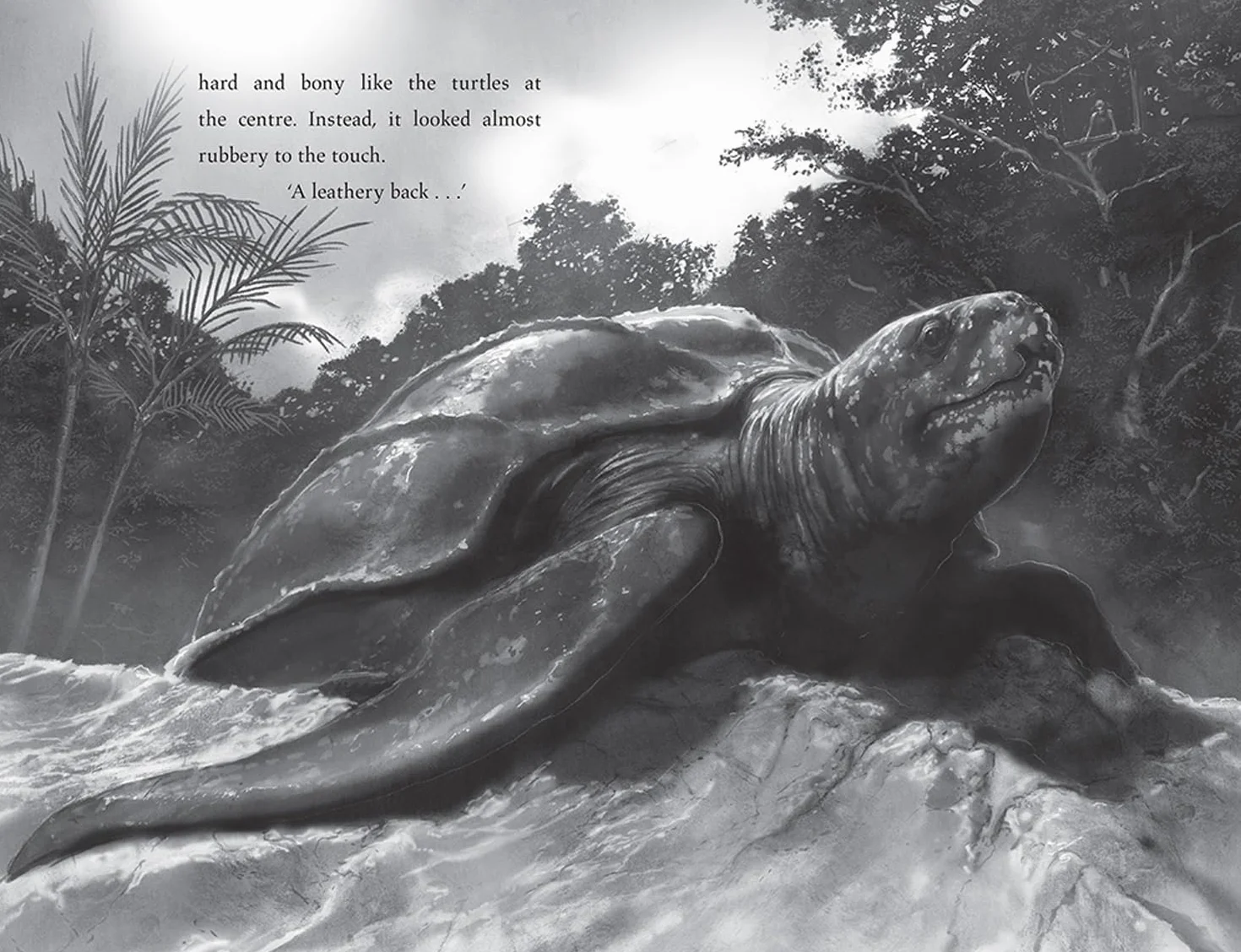Turtle Moon: A thrilling new illustrated animal adventure for kids from the Sunday Times bestselling author of THE LAST BEAR