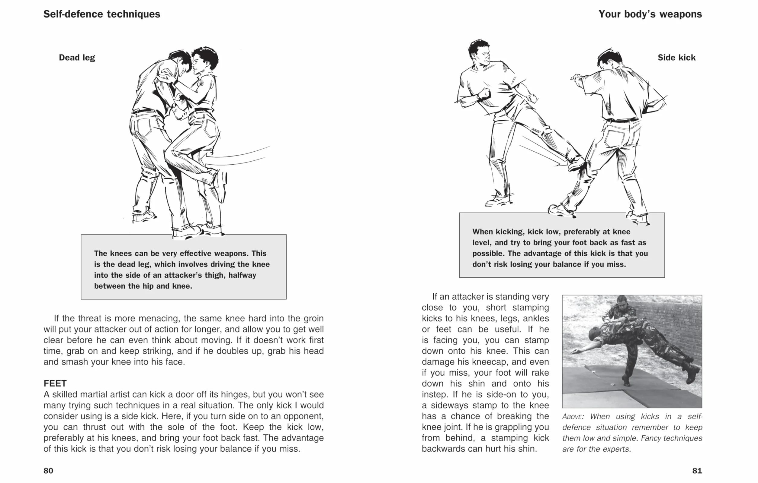 SAS and Special Forces Self Defence: A Complete Guide to Unarmed Combat Techniques