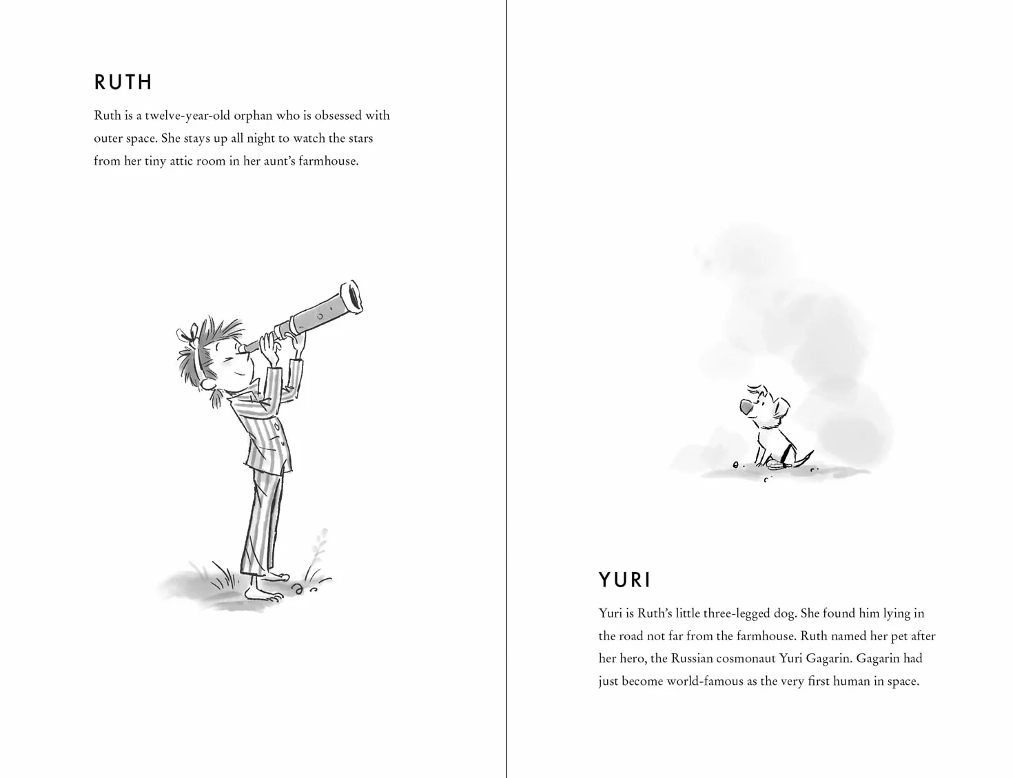 Spaceboy: A book by David Walliams
