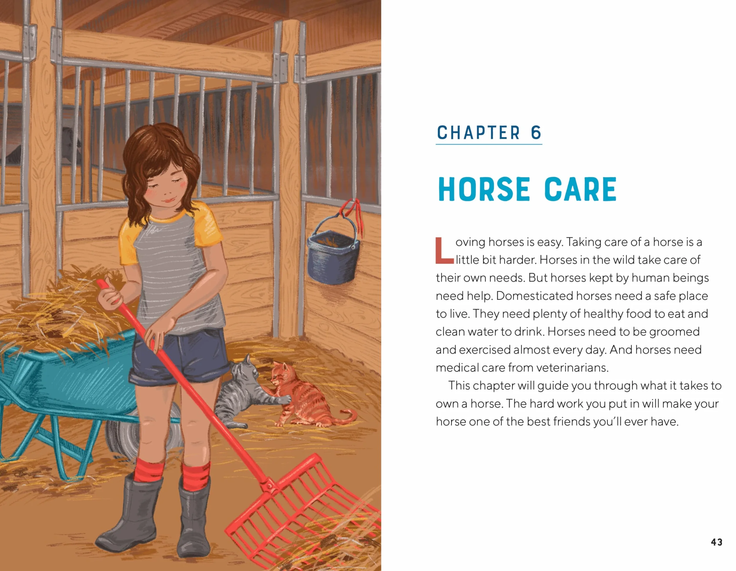 All about Horses: A Kid's Guide to Breeds, Care, Riding, and More!