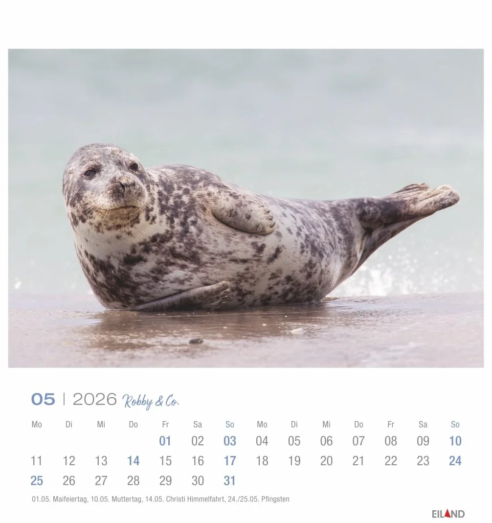 Robby & Co. Postkartenkalender 2026: Robben und Seehunde in natürlicher Umgebung in einem kleinen Kalender. Postkarten-Fotokalender für Tierfreunde zum Aufstellen oder Aufhängen