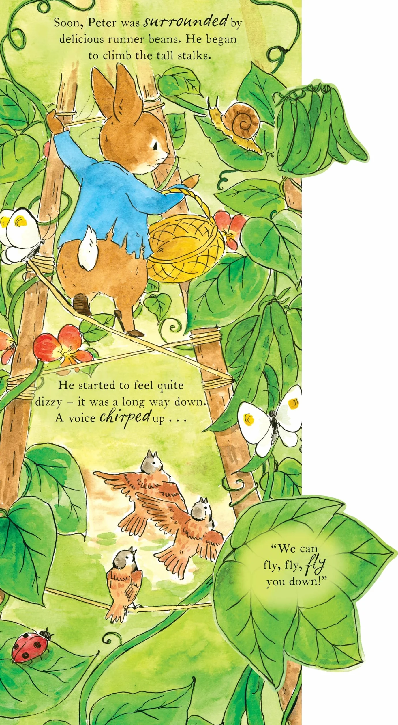 The World of Peter Rabbit: Peter Rabbit Gets Stuck!: A lift-the-flap board book