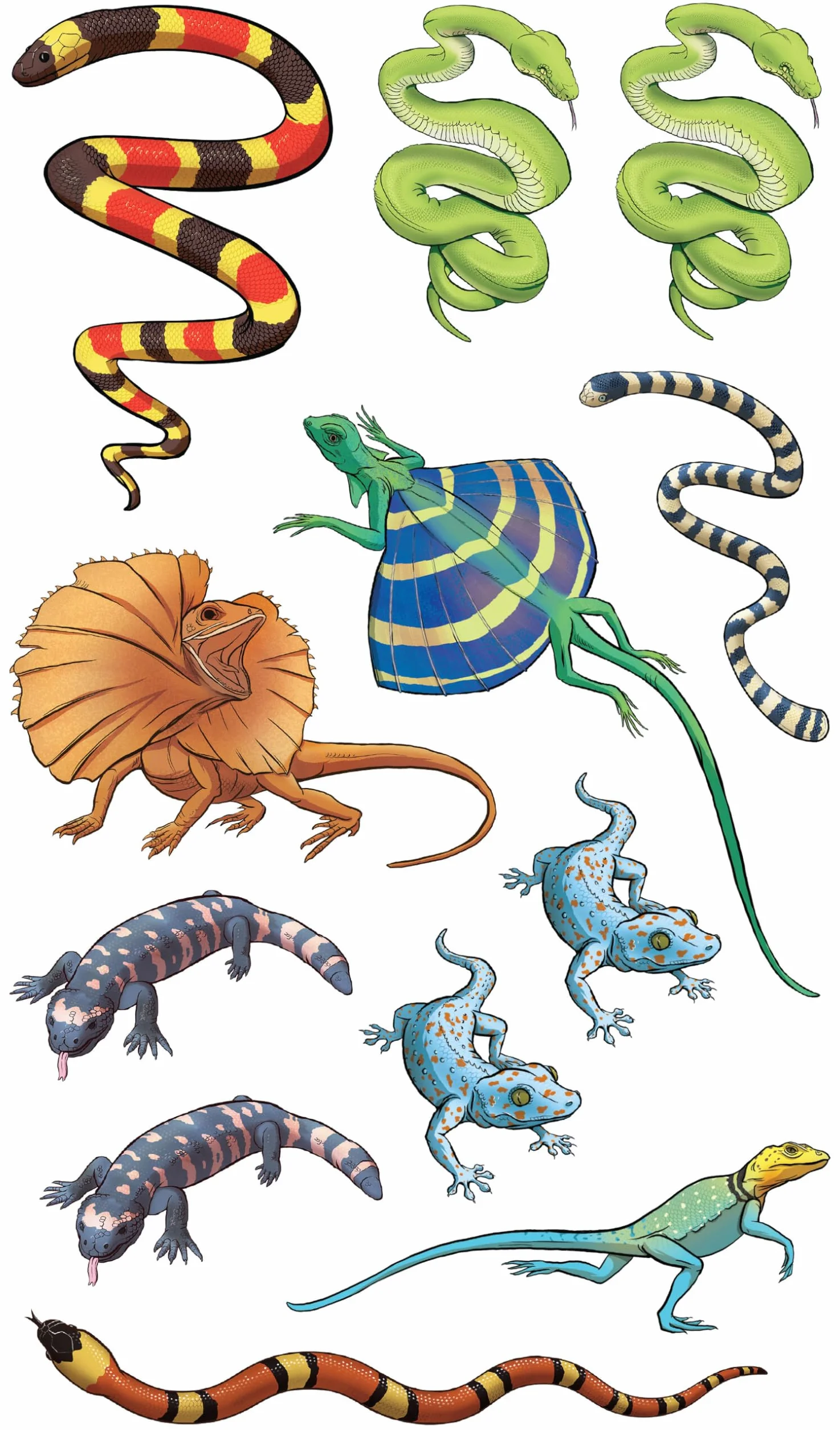 Slithering, Scaly Tattoo Snakes & Other Reptiles: 50 Temporary Tattoos That Teach